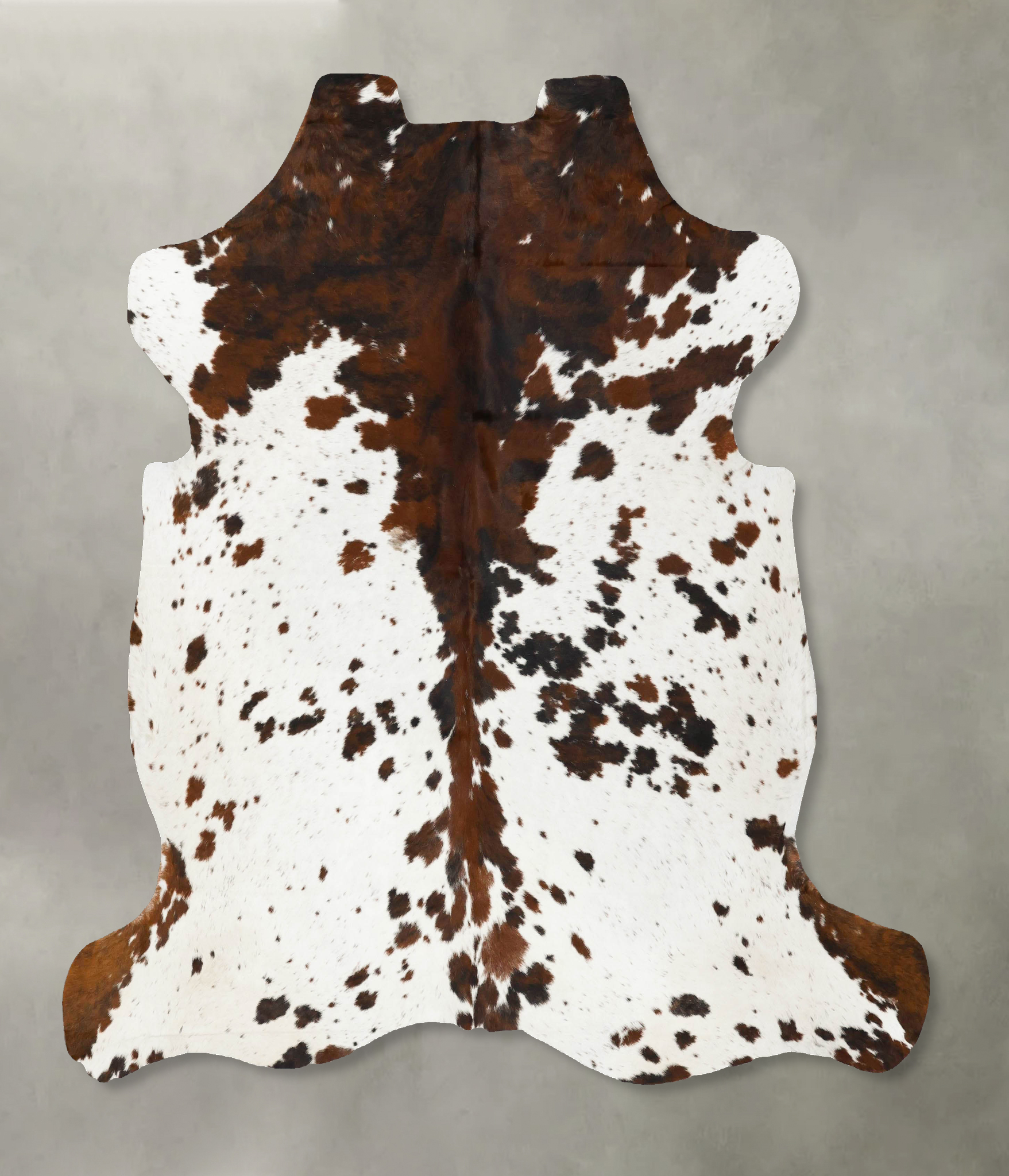 Tricolor Cowhide Rug #B23068