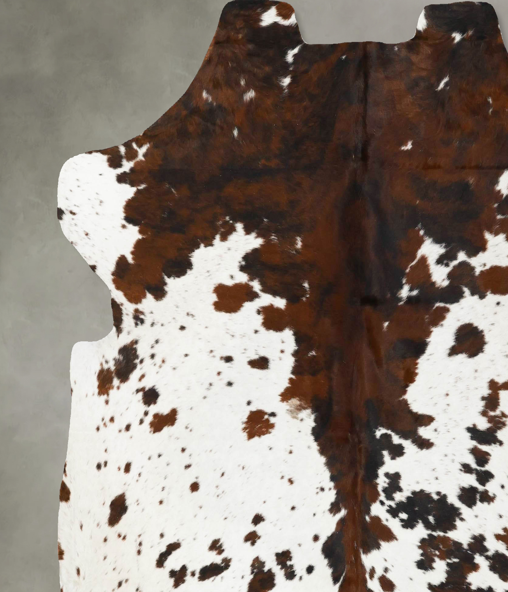 Tricolor Cowhide Rug #B23068