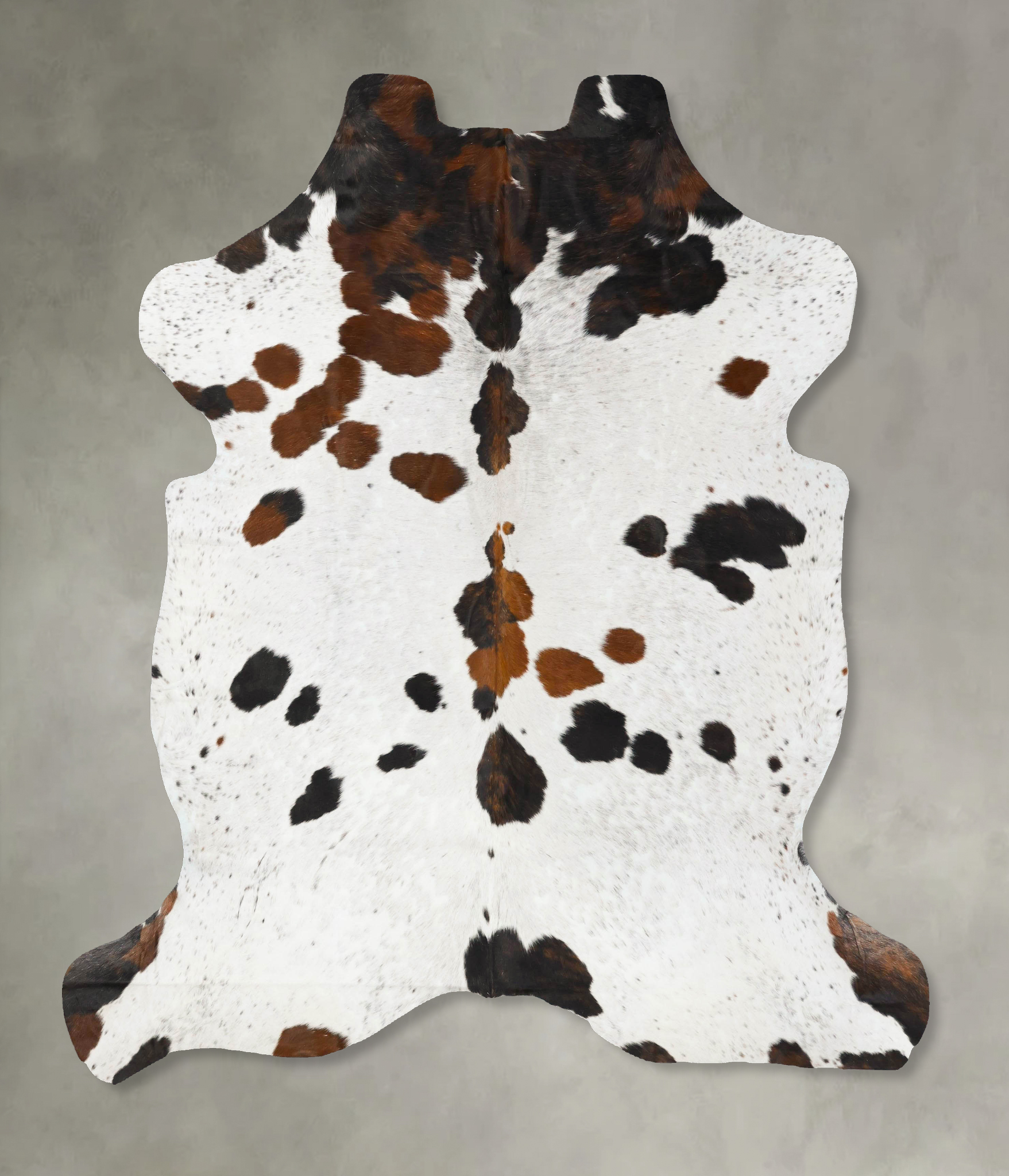 Tricolor Cowhide Rug #B23070