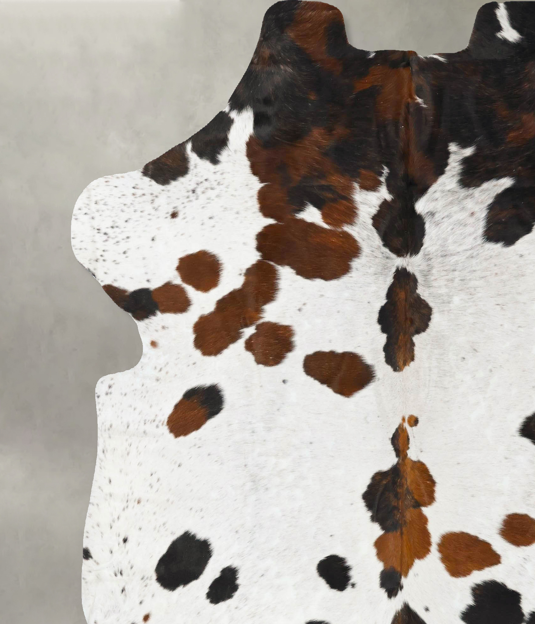 Tricolor Cowhide Rug #B23070