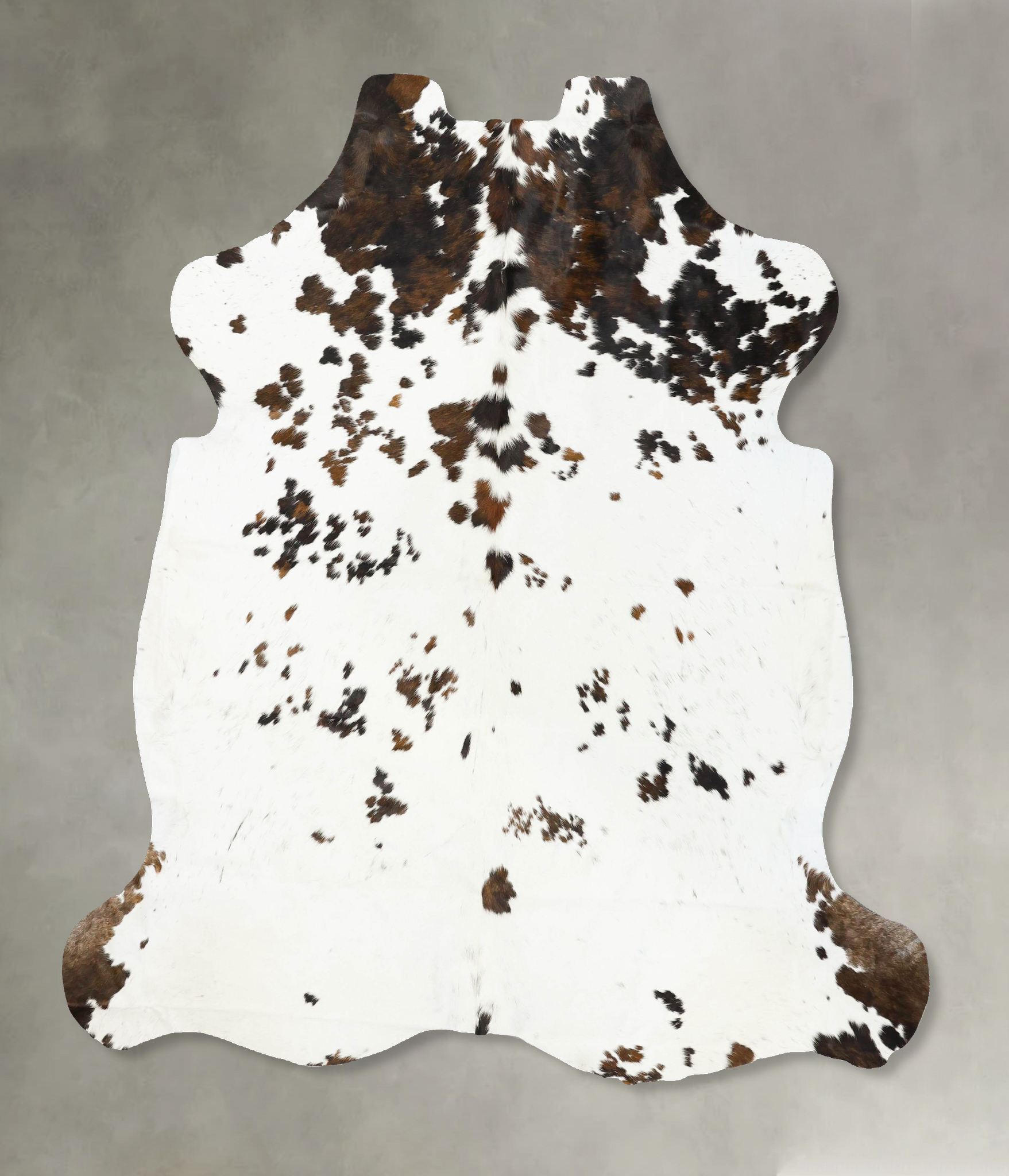 Tricolor Cowhide Rug #B23073