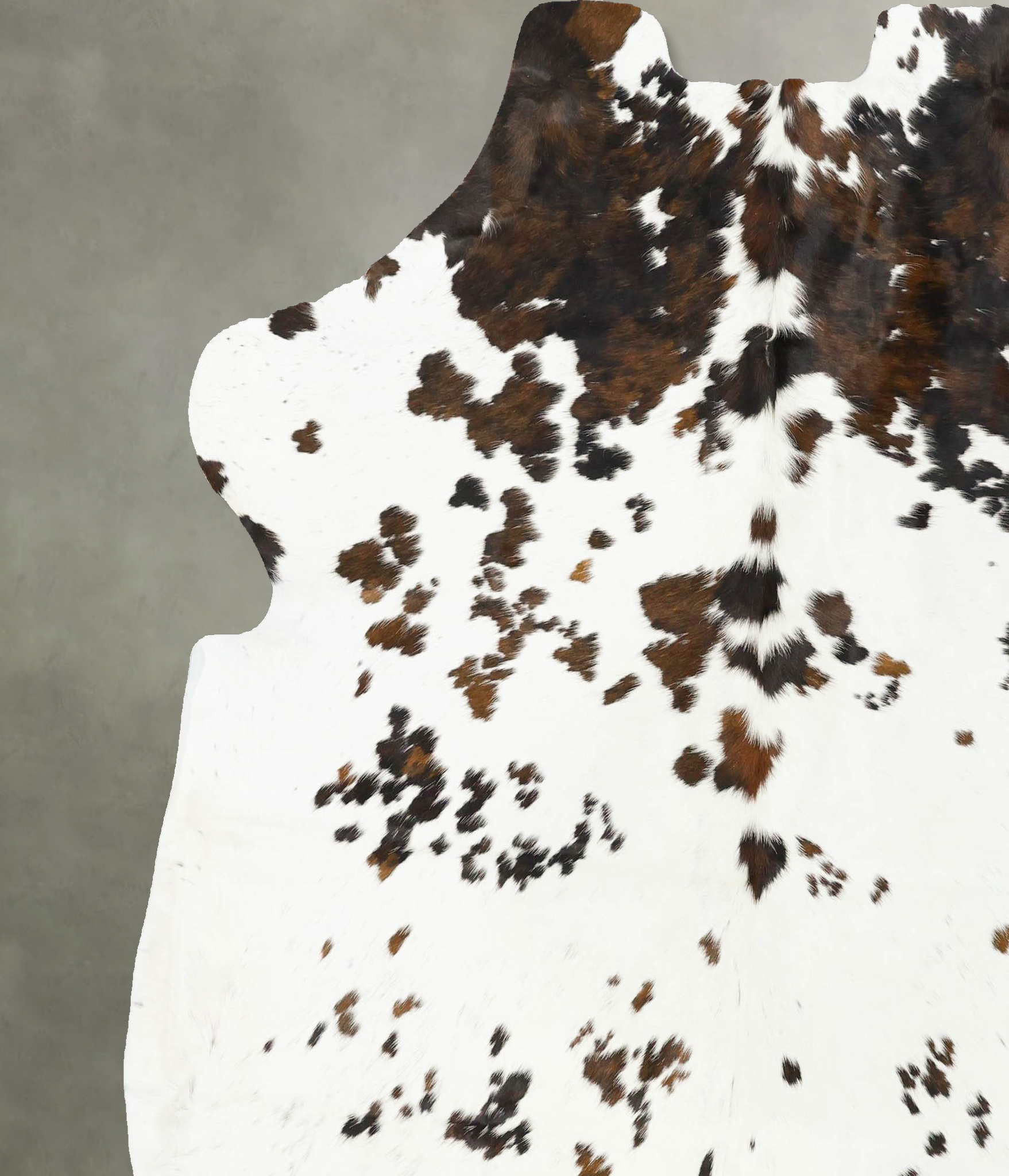 Tricolor Cowhide Rug #B23073