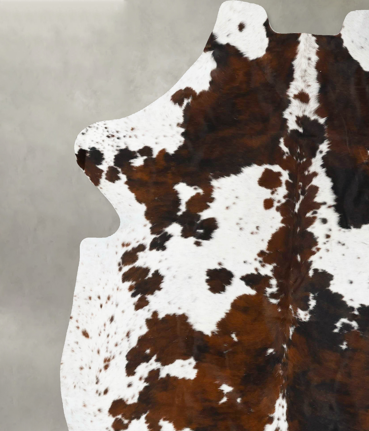 Tricolor X-Large European Cowhide Rug 7'6"H x 6'6"W #B23075 by Hudson Hides
