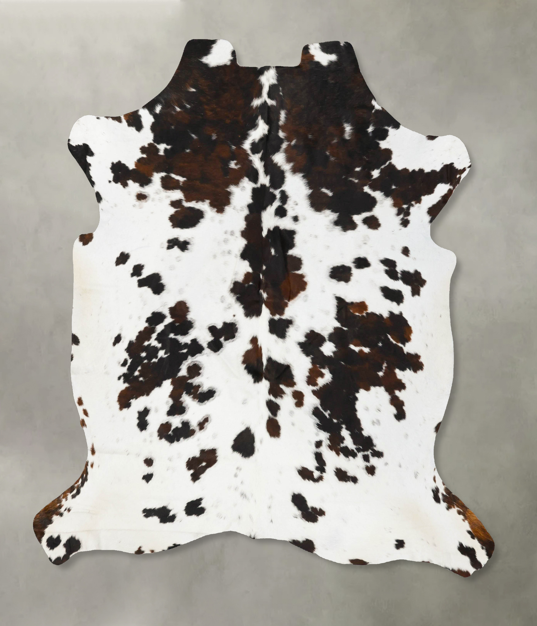 Tricolor Cowhide Rug #B23076