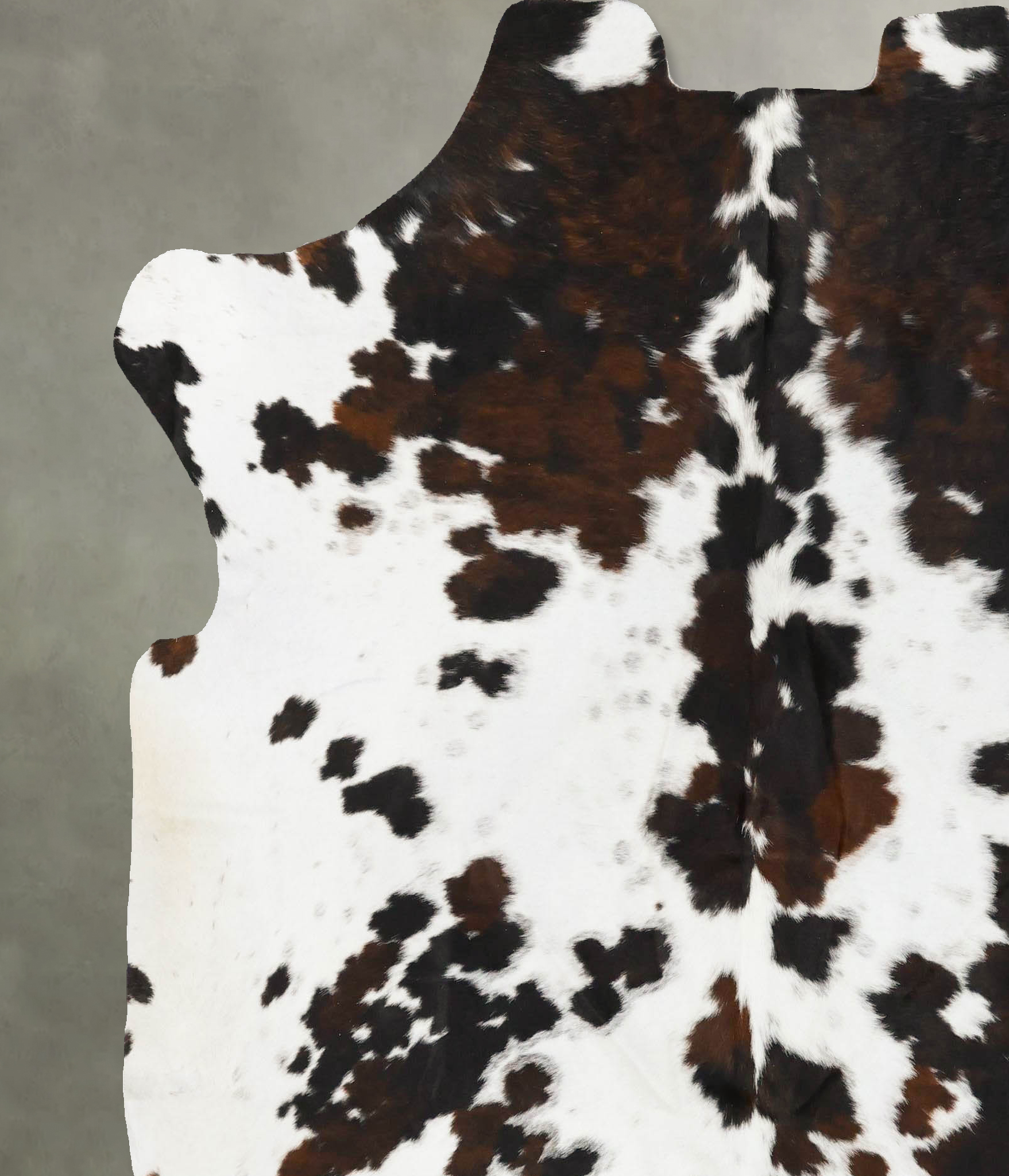 Tricolor Cowhide Rug #B23076