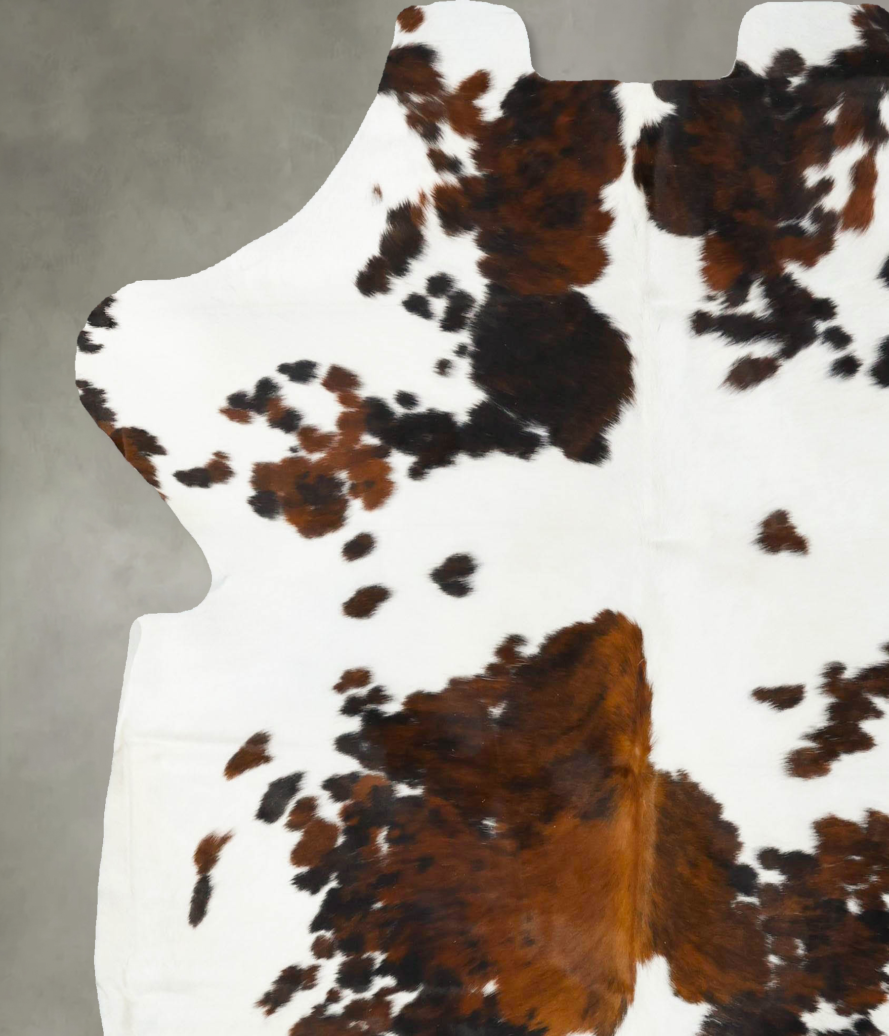 Tricolor Cowhide Rug #B23077