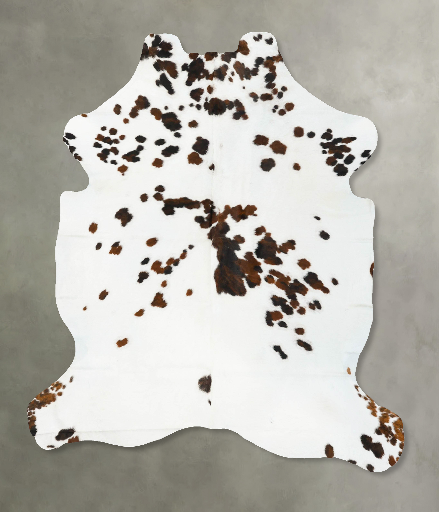 Tricolor Cowhide Rug #B23079