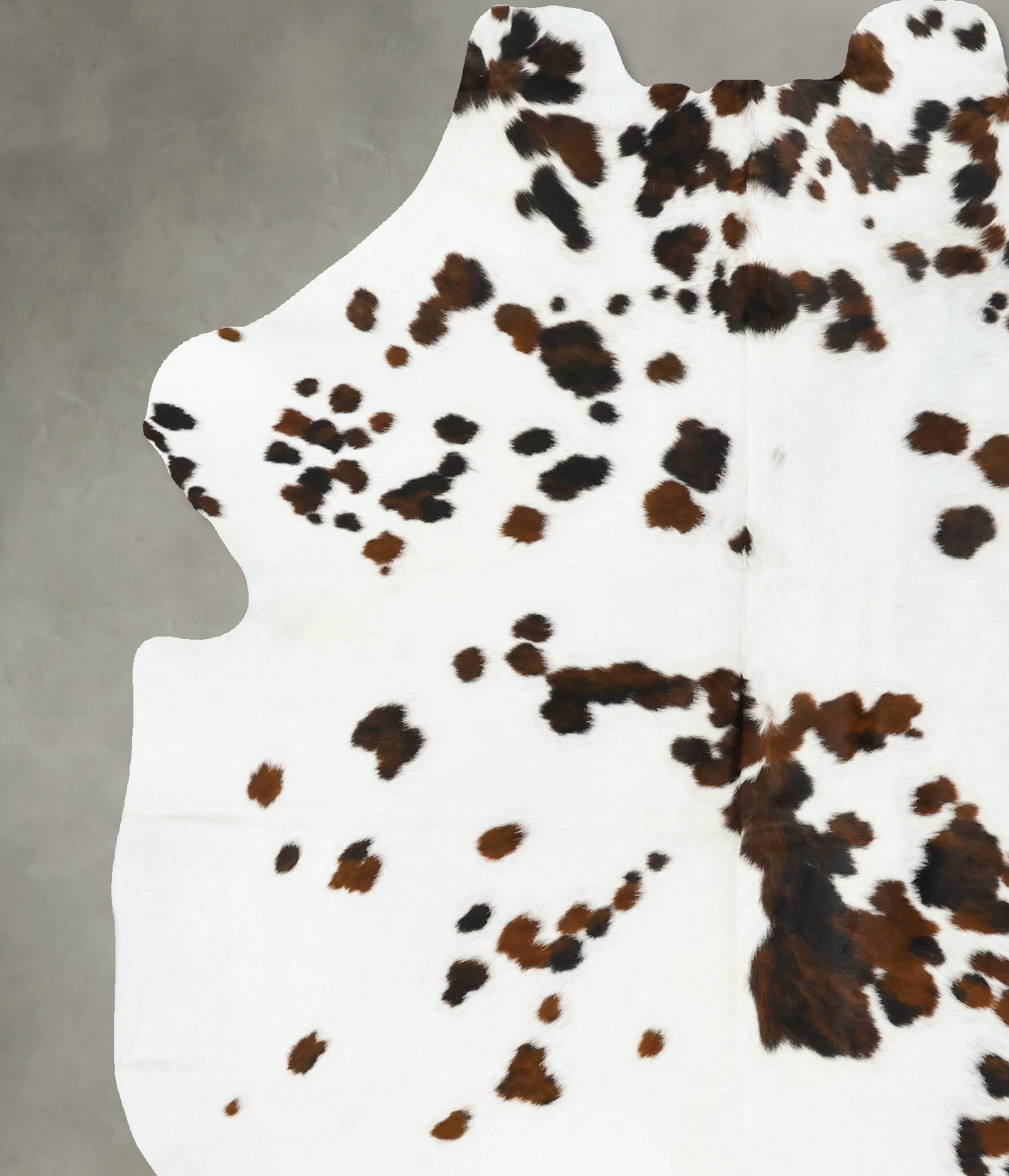 Tricolor Cowhide Rug #B23079