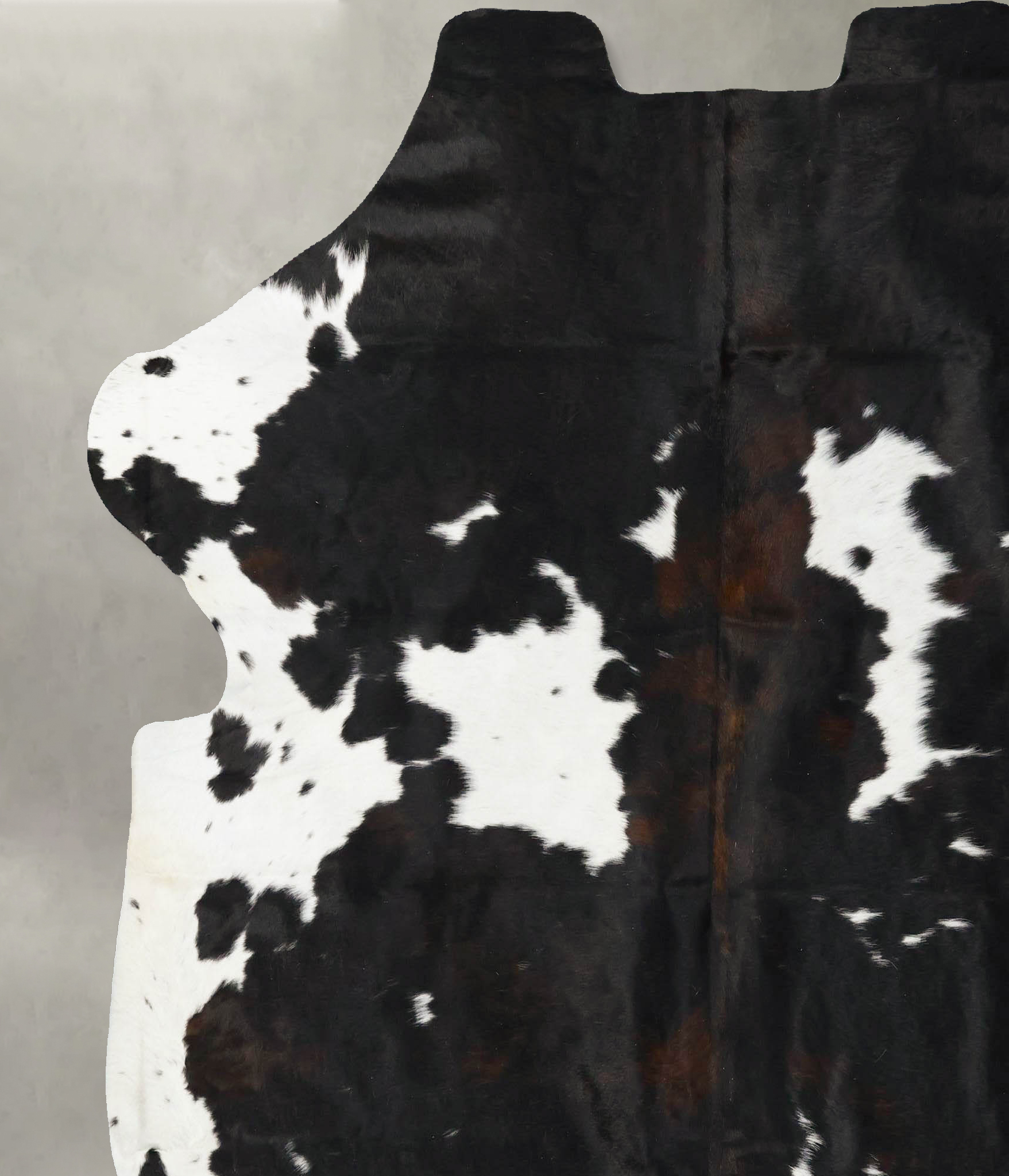 Tricolor Cowhide Rug #B23080