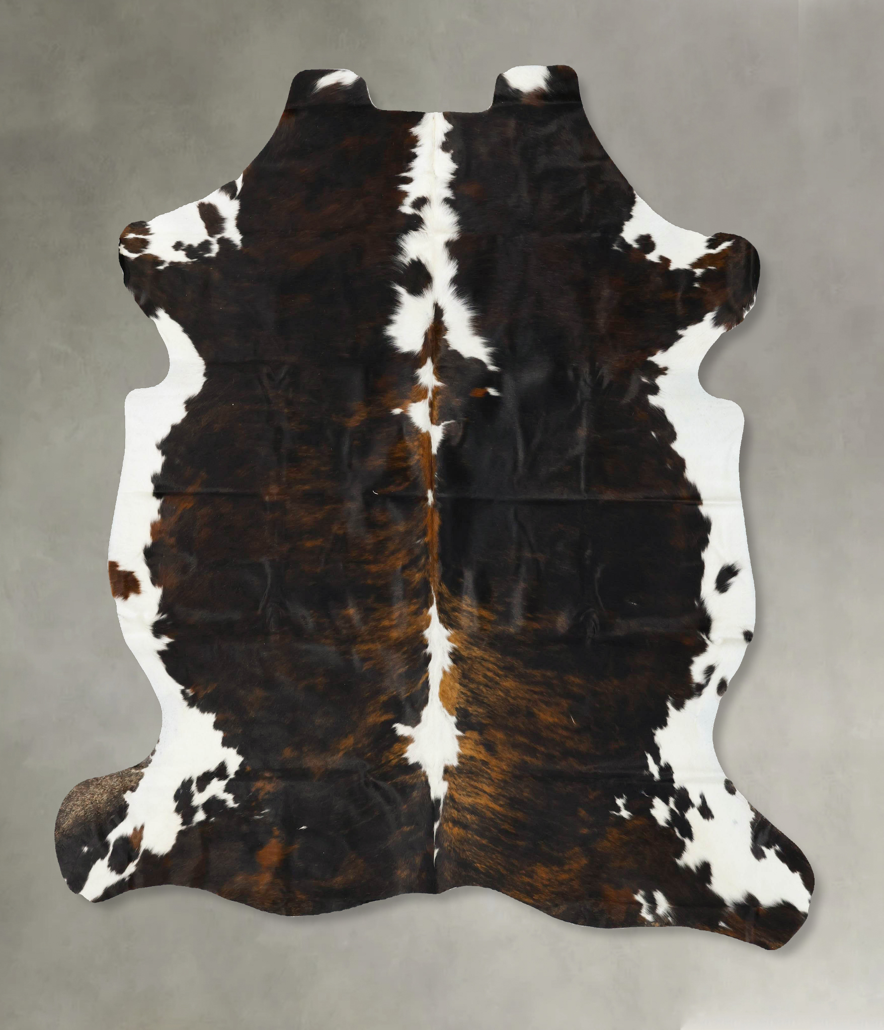 Tricolor Cowhide Rug #B23081
