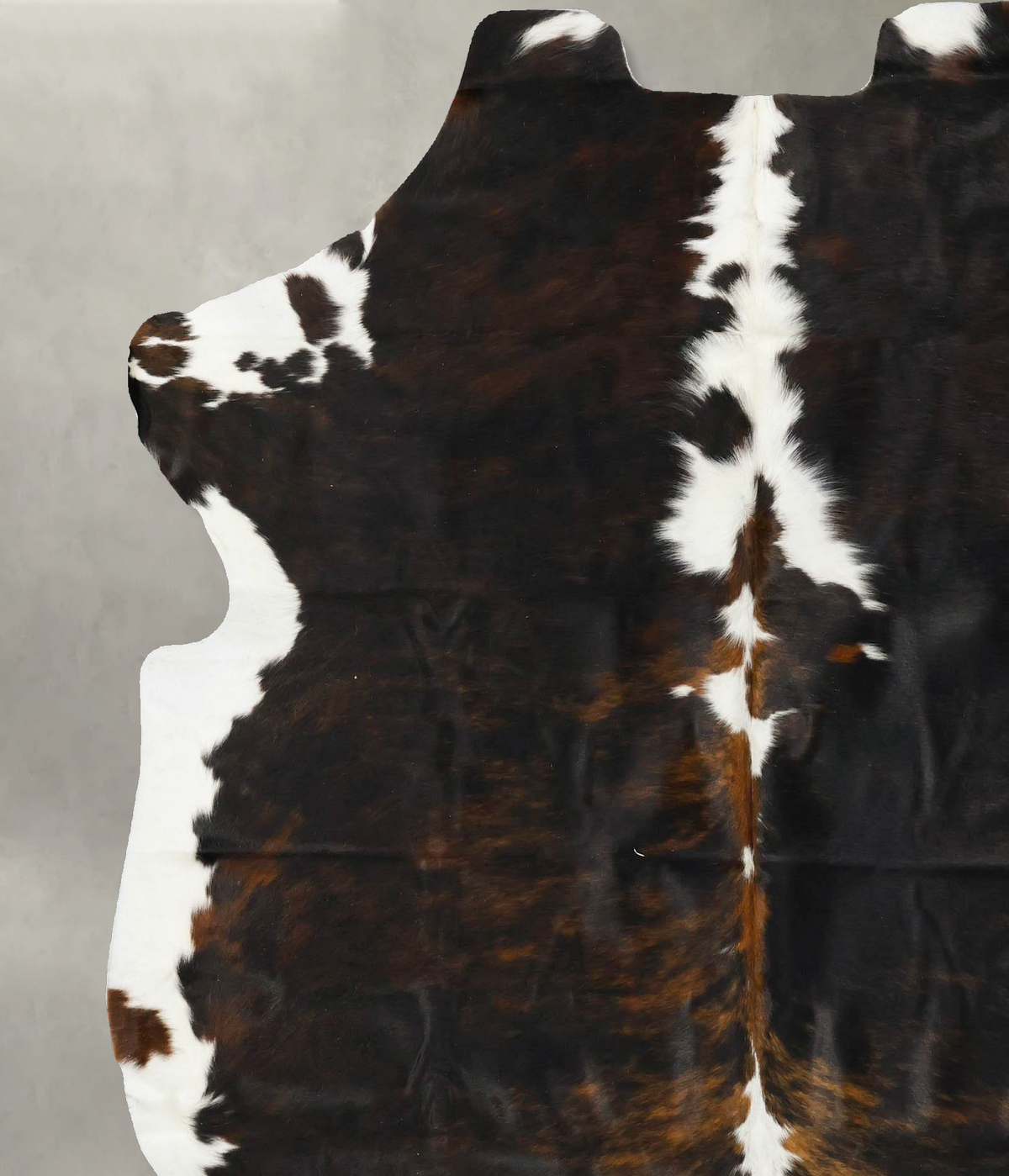 Tricolor X-Large European Cowhide Rug 7'1"H x 6'3"W #B23081 by Hudson Hides