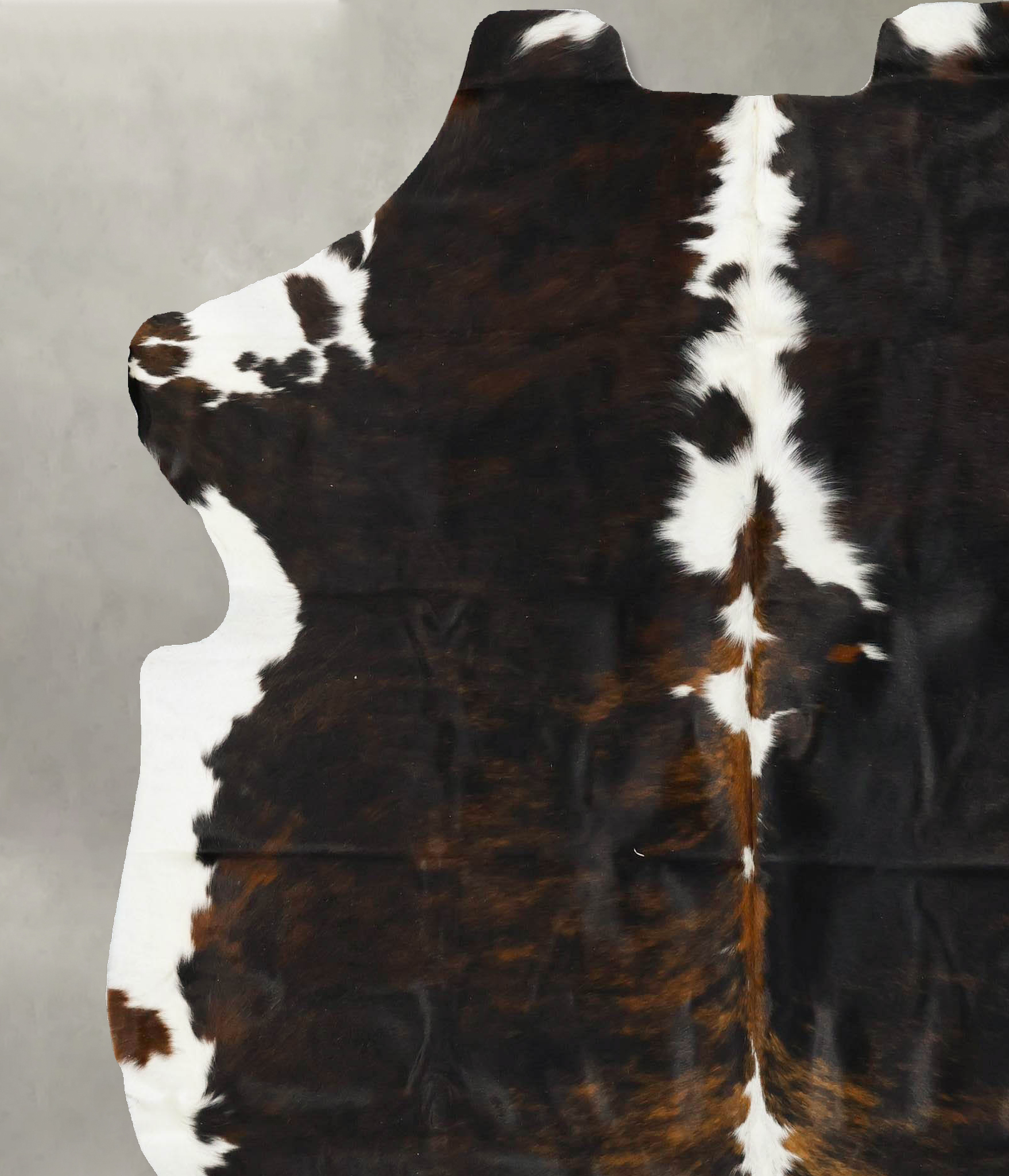 Tricolor Cowhide Rug #B23081