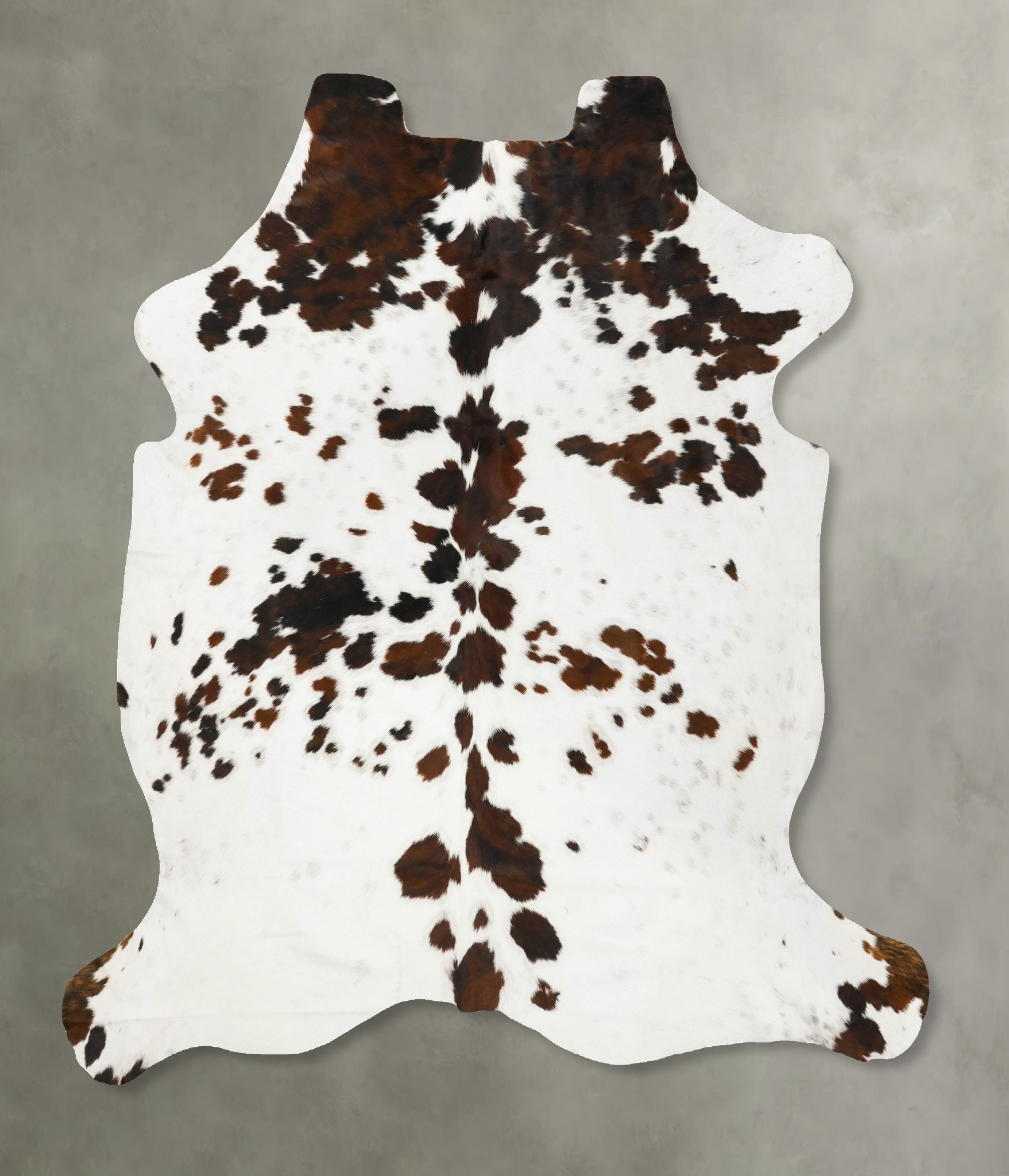 Tricolor Cowhide Rug #B23082