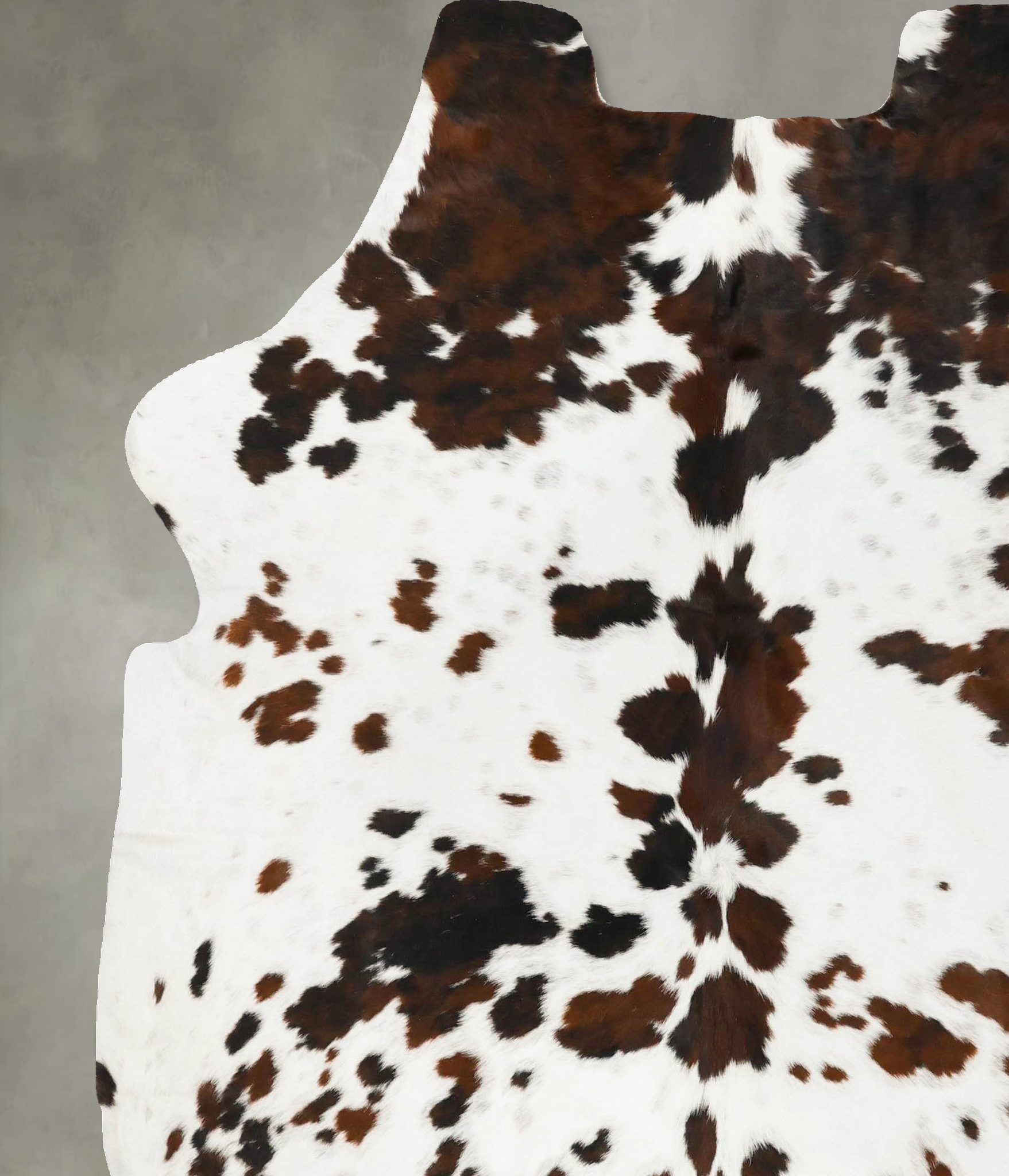Tricolor Cowhide Rug #B23082
