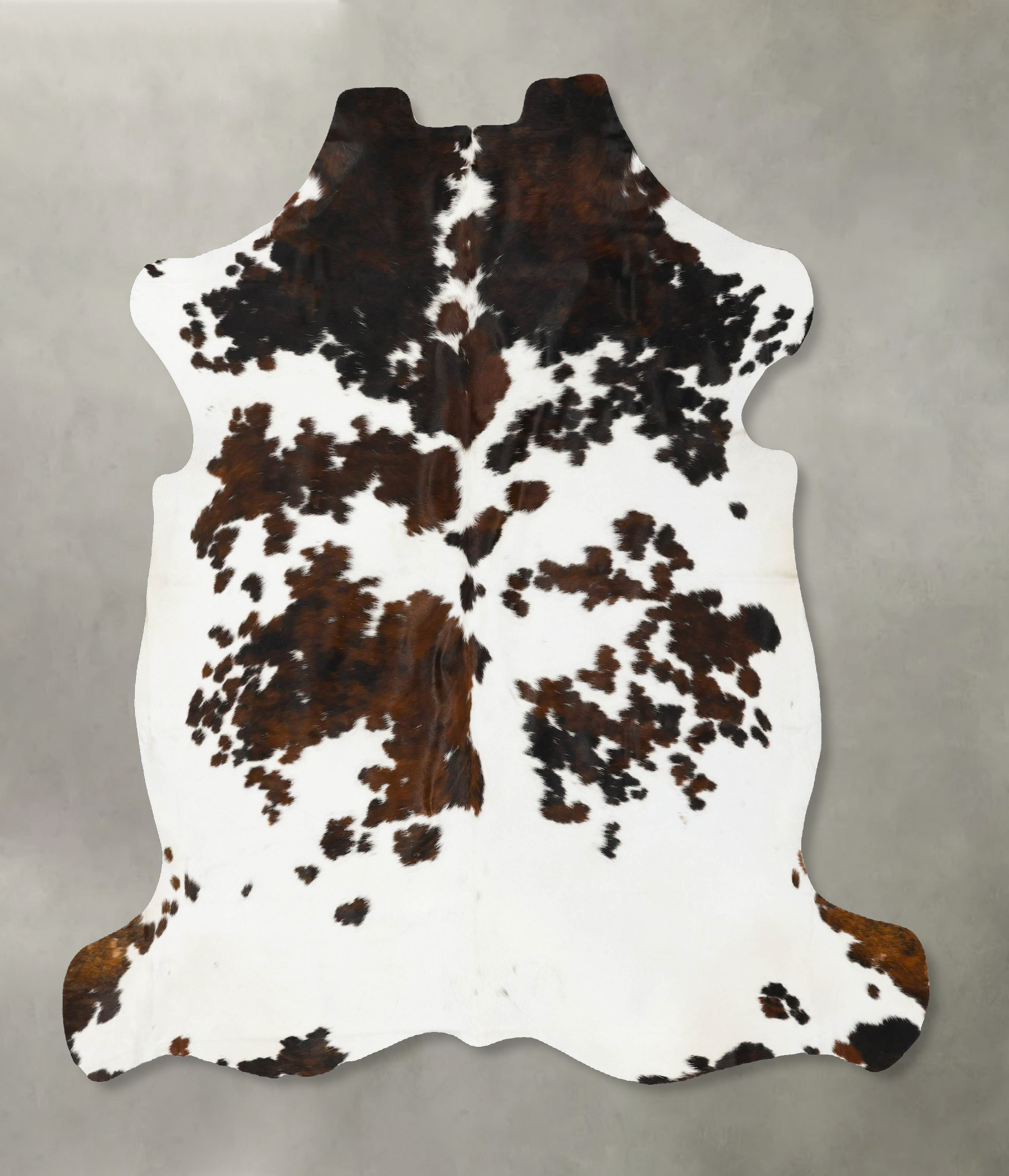 Tricolor Cowhide Rug #B23084
