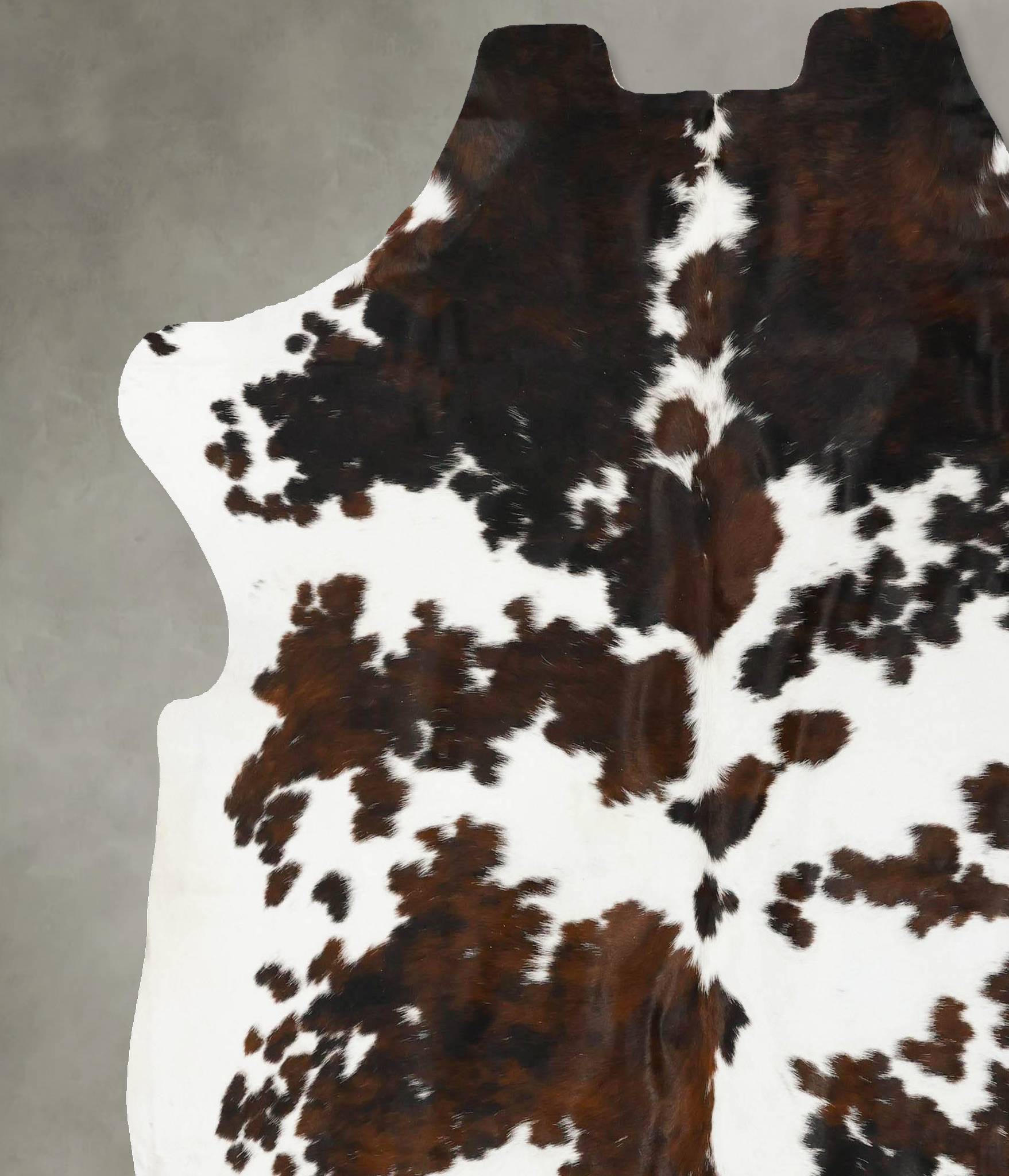 Tricolor Cowhide Rug #B23084