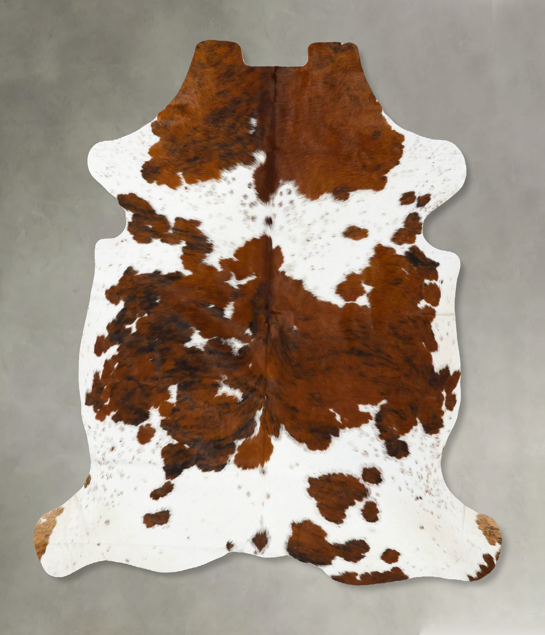 Tricolor Cowhide Rug #B23085