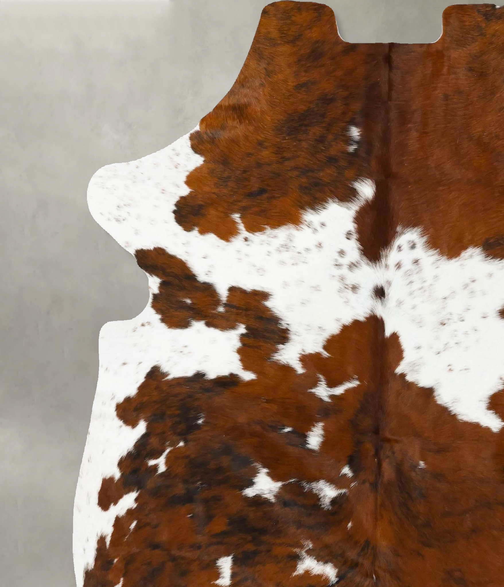 Tricolor Cowhide Rug #B23085