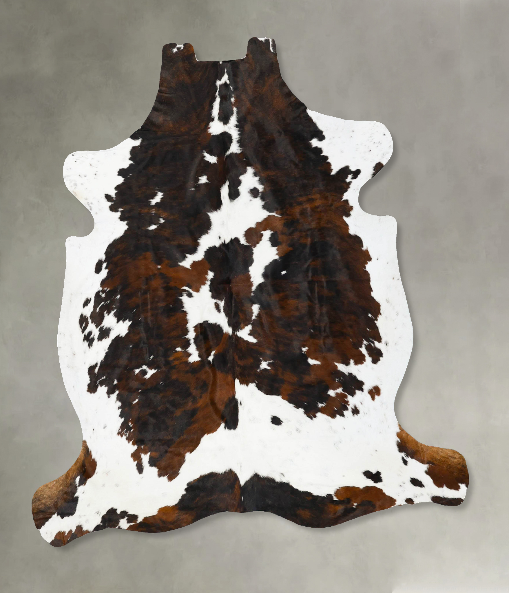 Tricolor Cowhide Rug #B23086