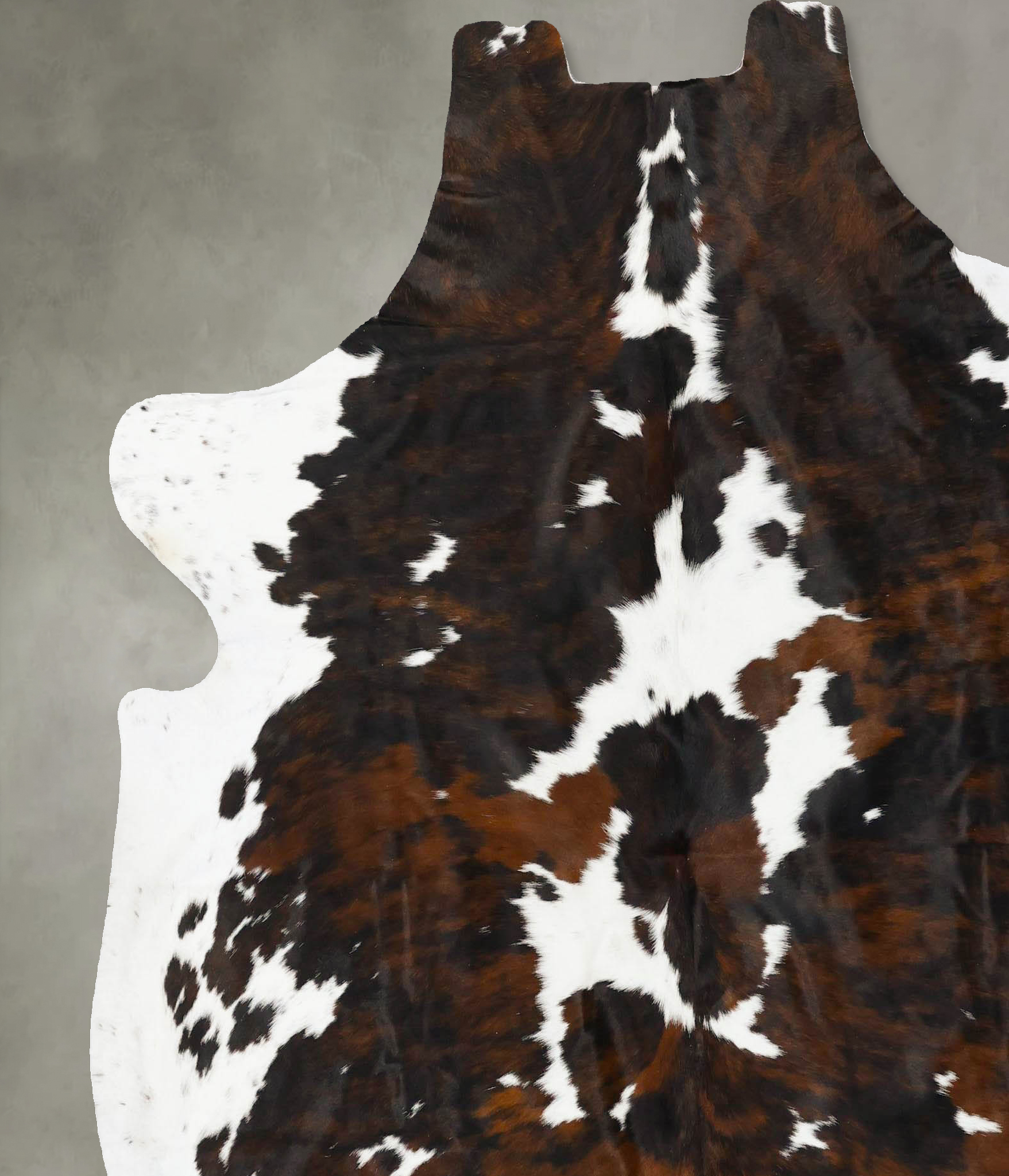 Tricolor Cowhide Rug #B23086