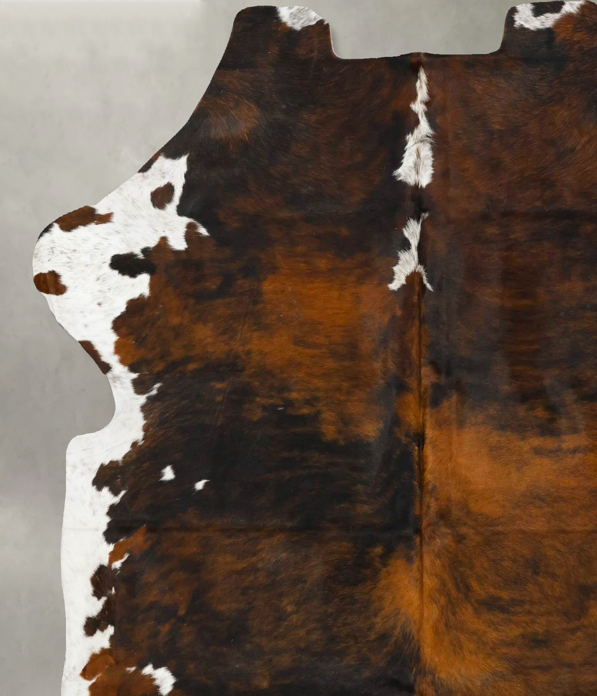 Tricolor X-Large European Cowhide Rug 7'2"H x 6'3"W #B23088 by Hudson Hides