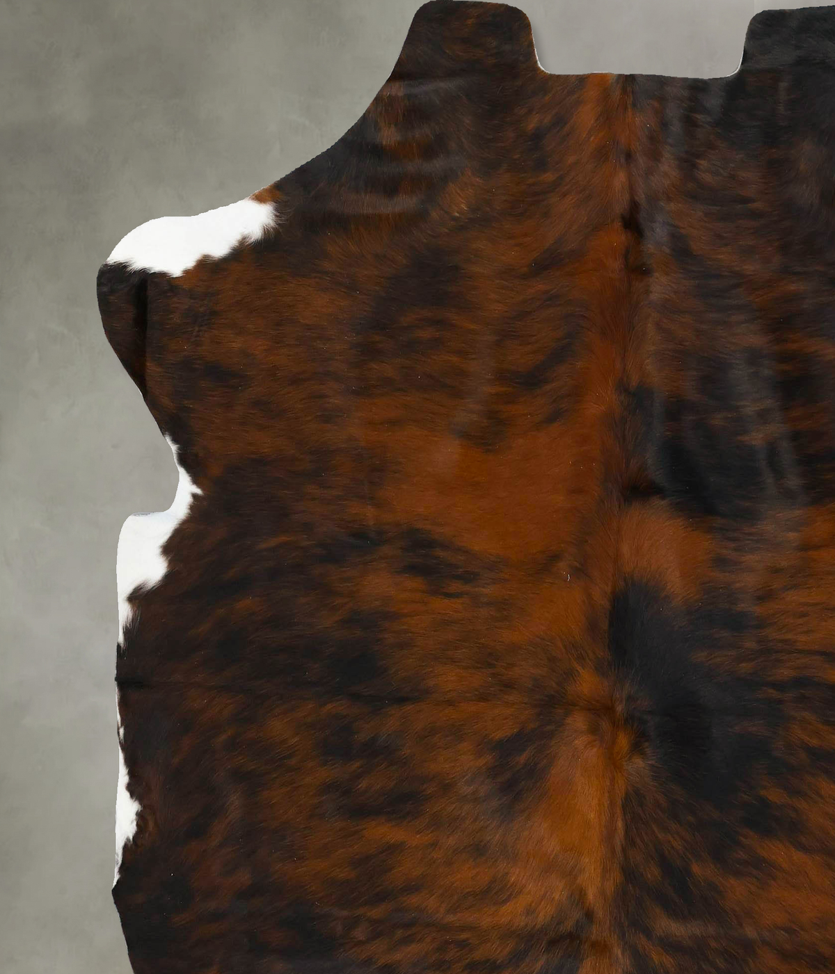 Dark Brindle X-Large European Cowhide Rug 7'0"H x 6'6"W #B23090 by Hudson Hides