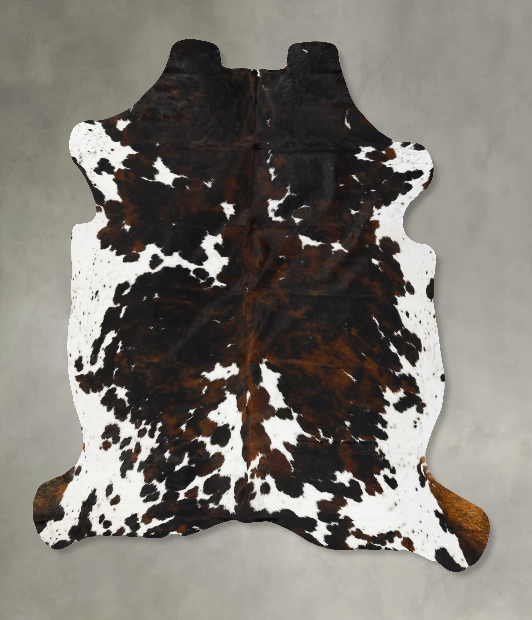 Tricolor Cowhide Rug #B23092