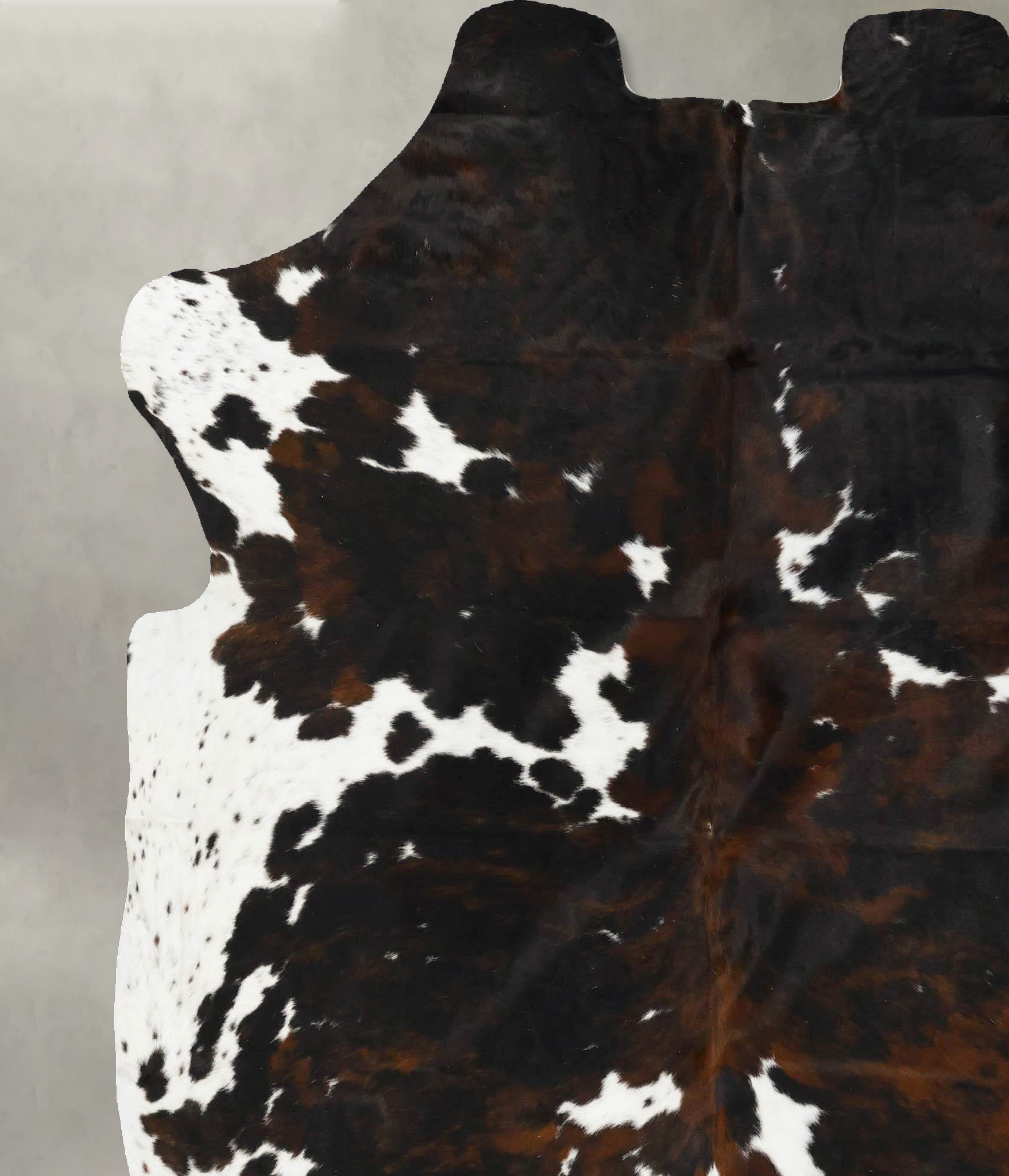 Tricolor Cowhide Rug #B23092