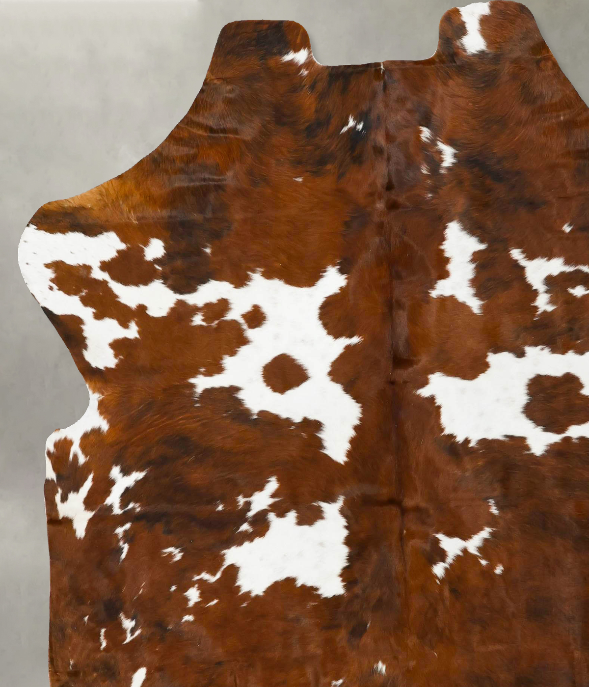 Tricolor X-Large European Cowhide Rug 7'3"H x 6'2"W #B23096 by Hudson Hides