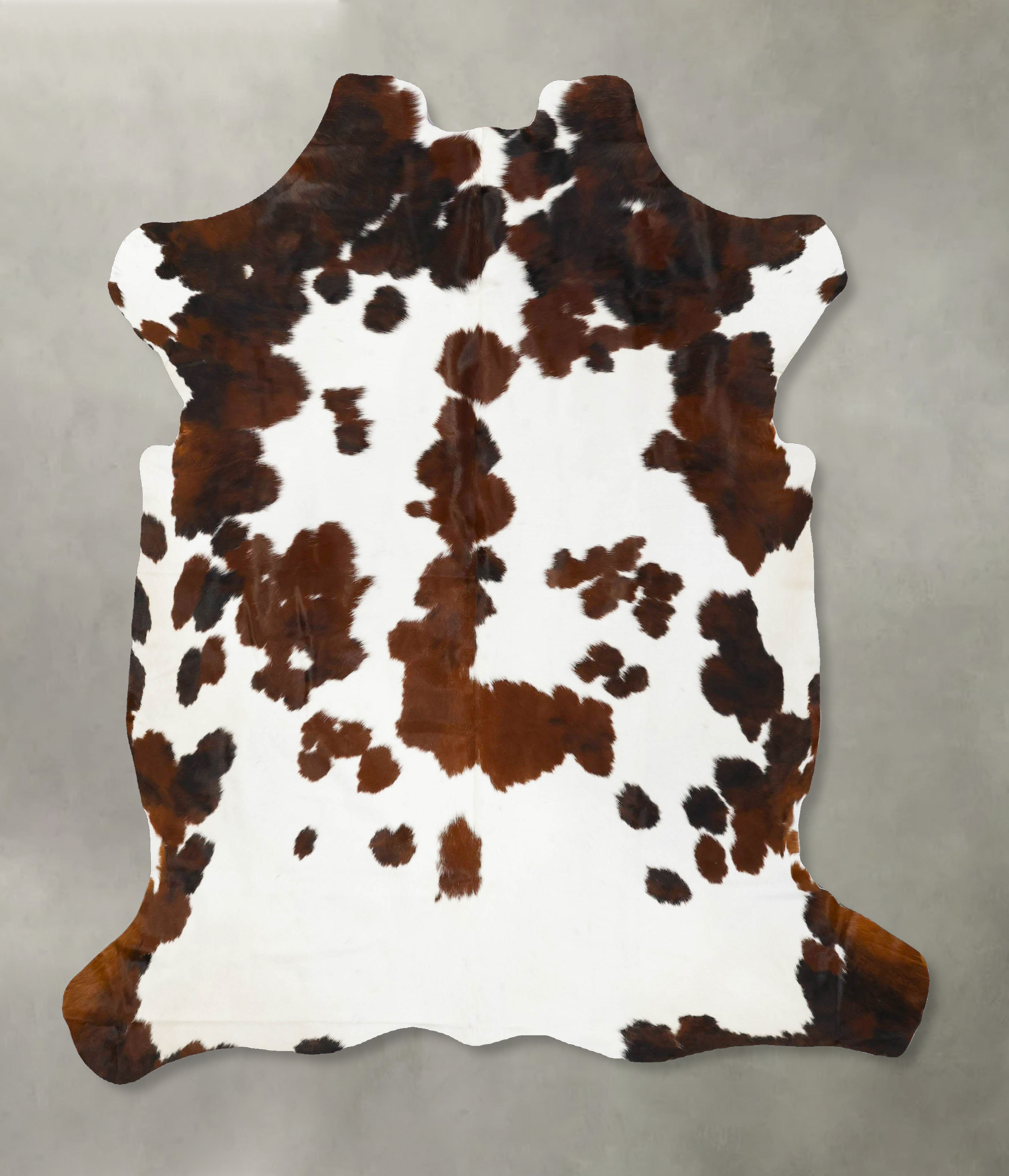 Tricolor Cowhide Rug #B23098