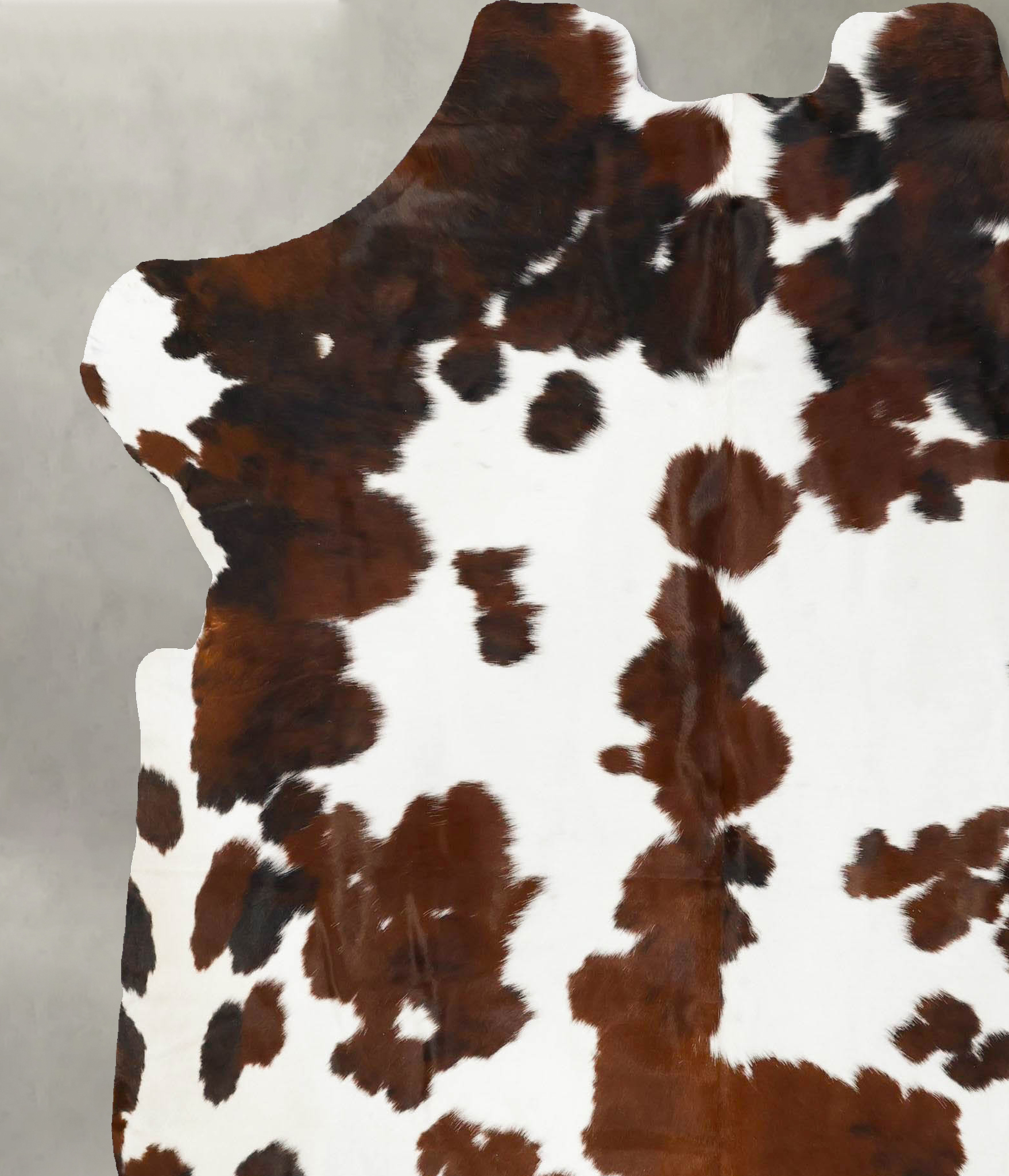 Tricolor Cowhide Rug #B23098