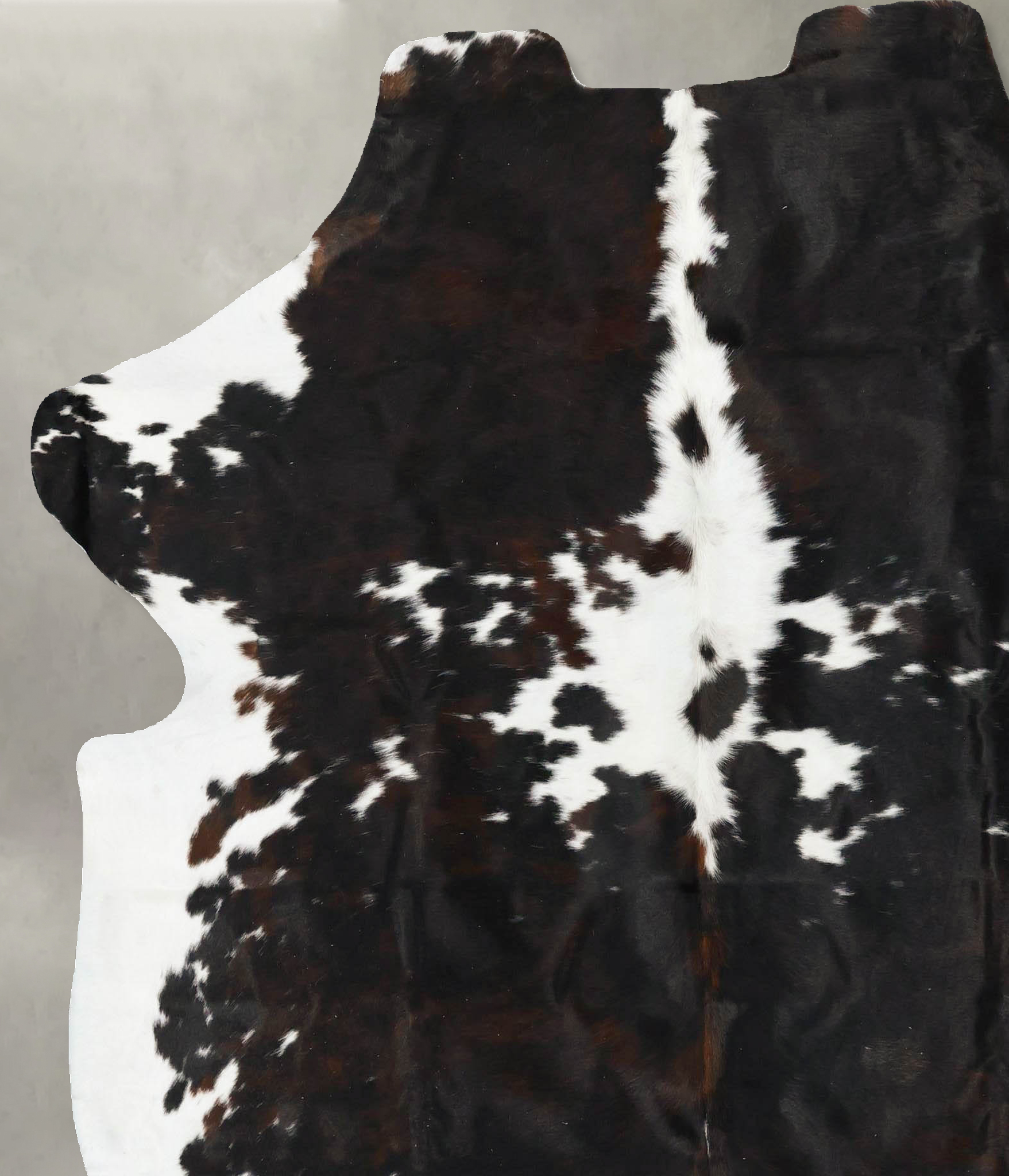 Tricolor Cowhide Rug #B23099