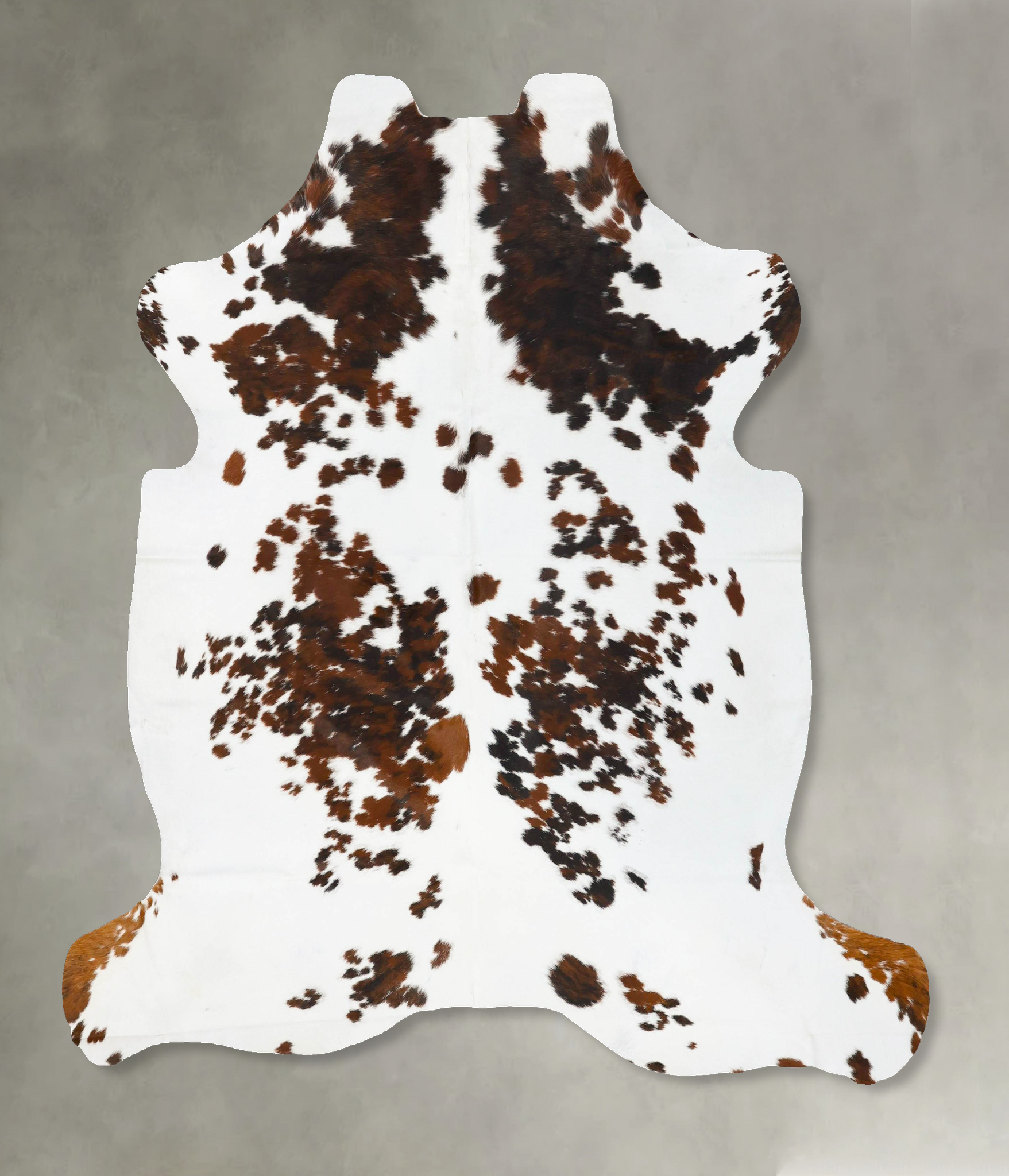 Tricolor Cowhide Rug #B23100