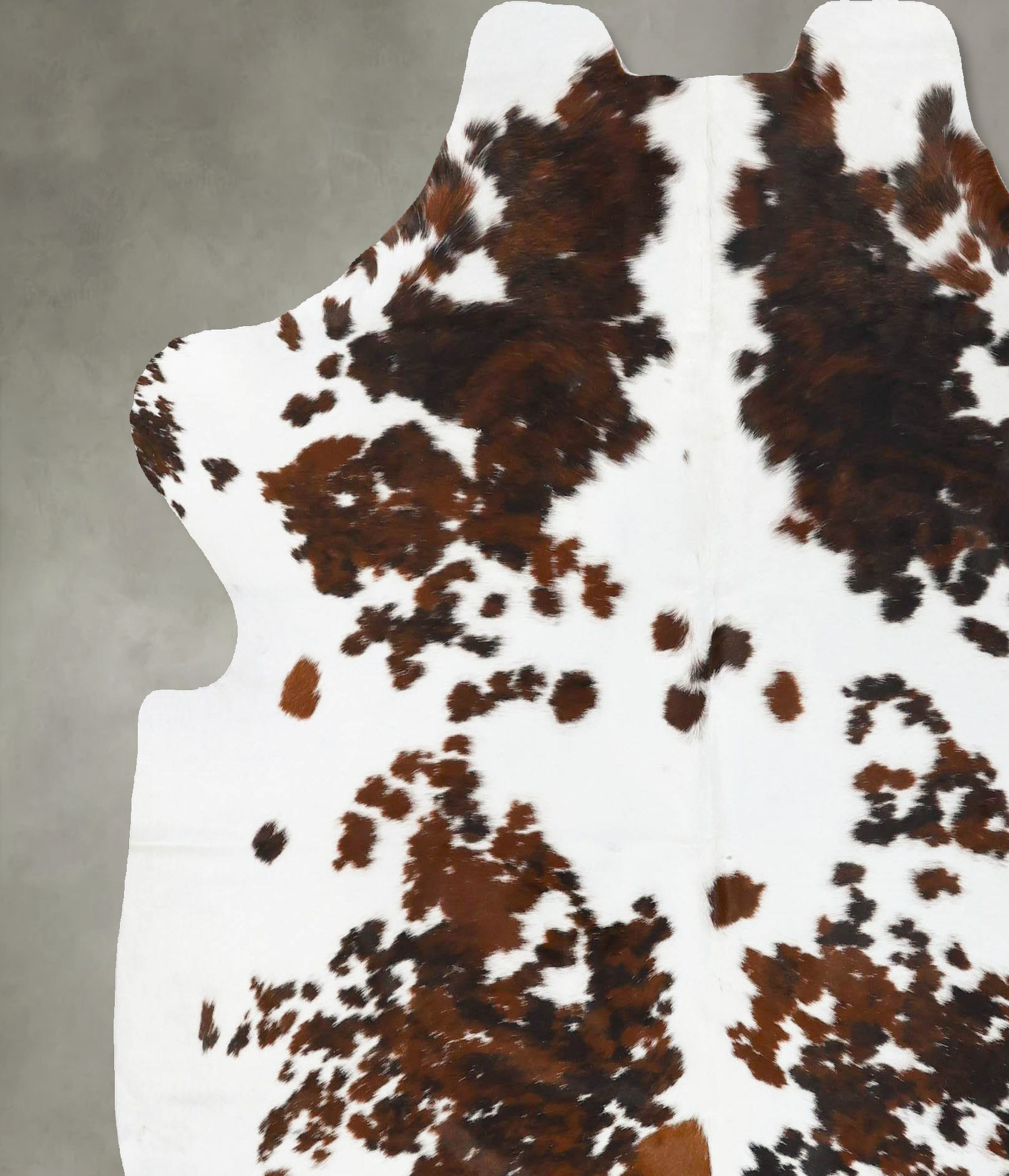 Tricolor Cowhide Rug #B23100