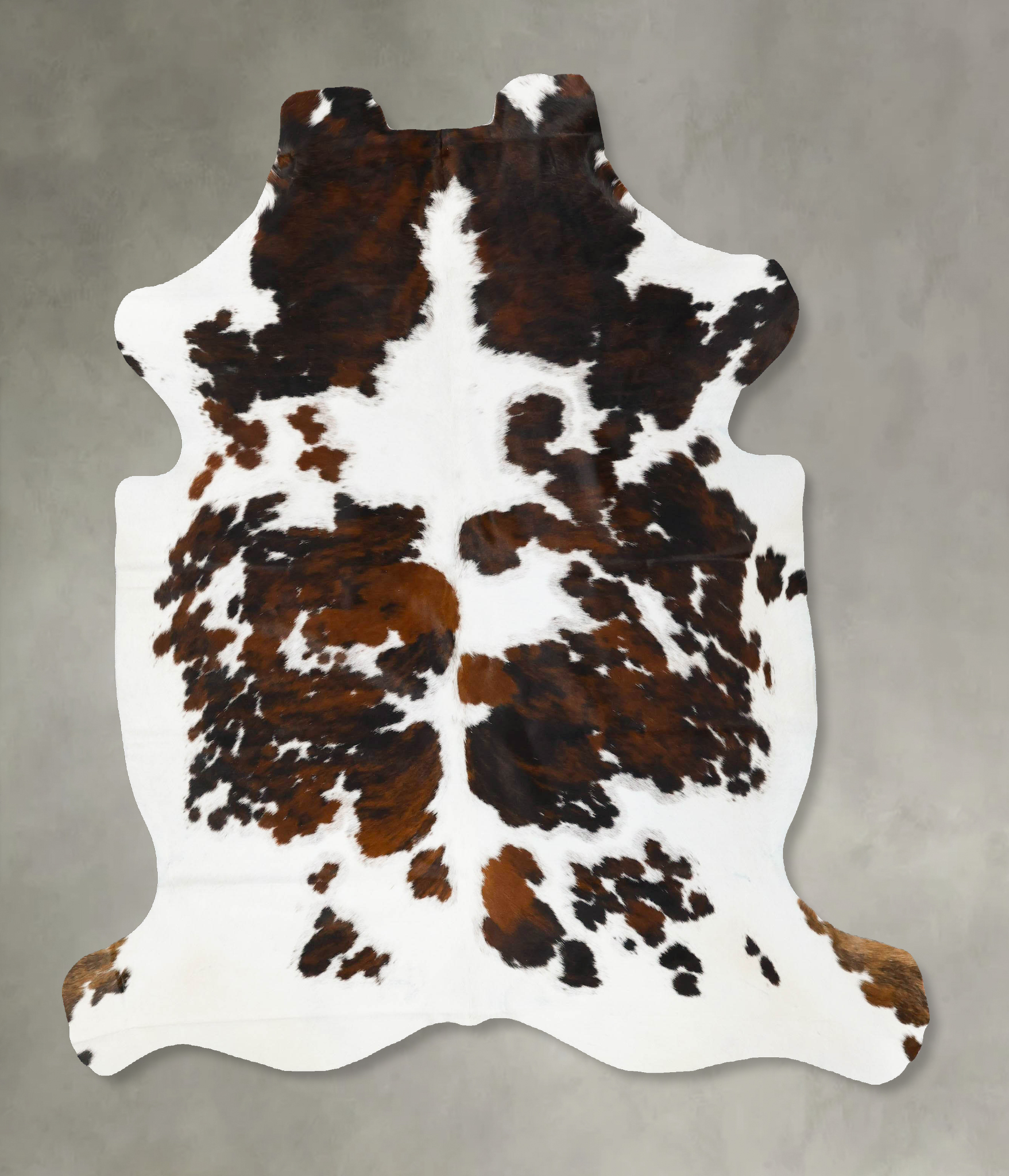 Tricolor Cowhide Rug #B23101