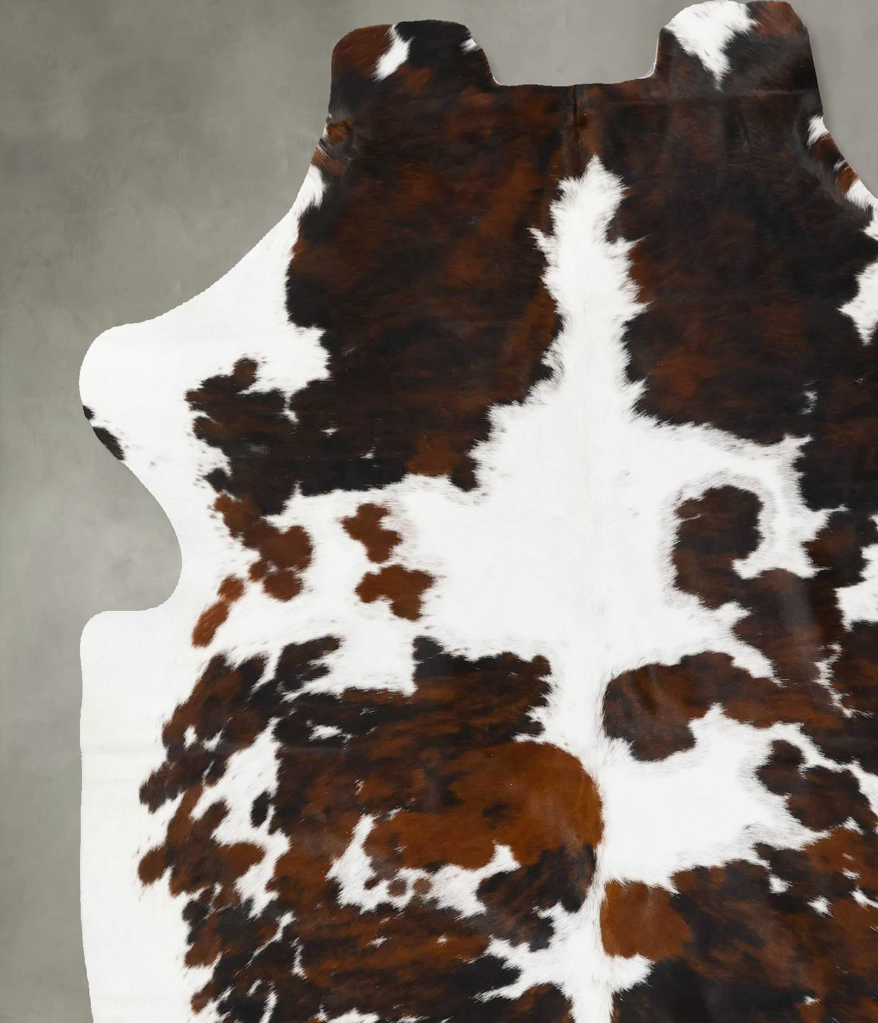 Tricolor Cowhide Rug #B23101