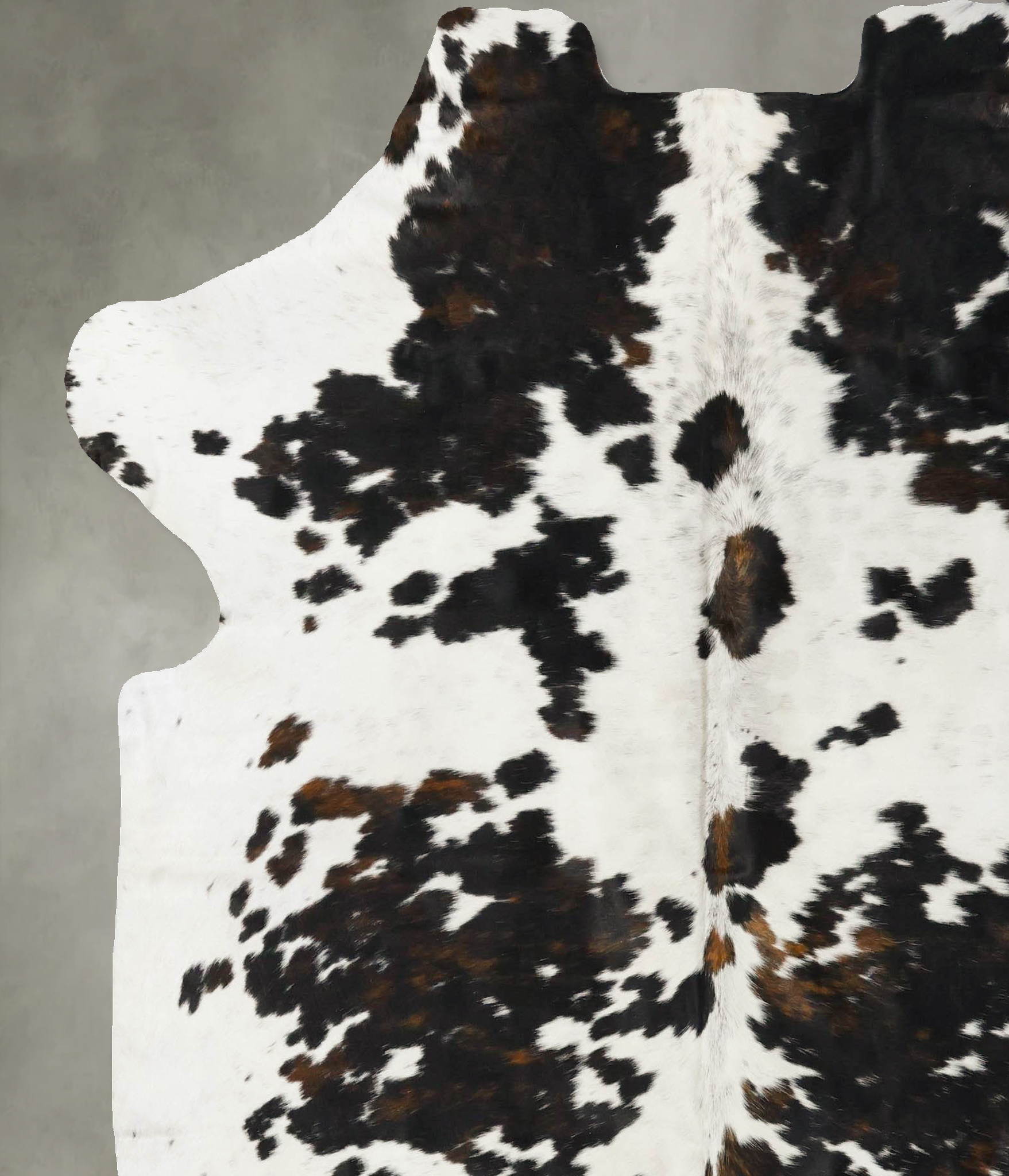 Tricolor Cowhide Rug #B23102