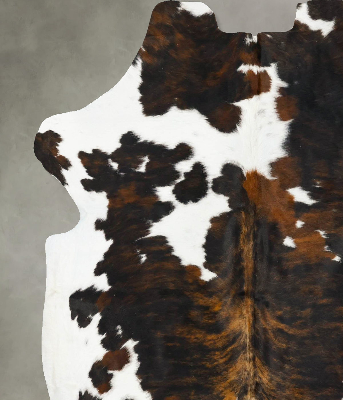 Tricolor X-Large European Cowhide Rug 6'9"H x 6'4"W #B23103 by Hudson Hides