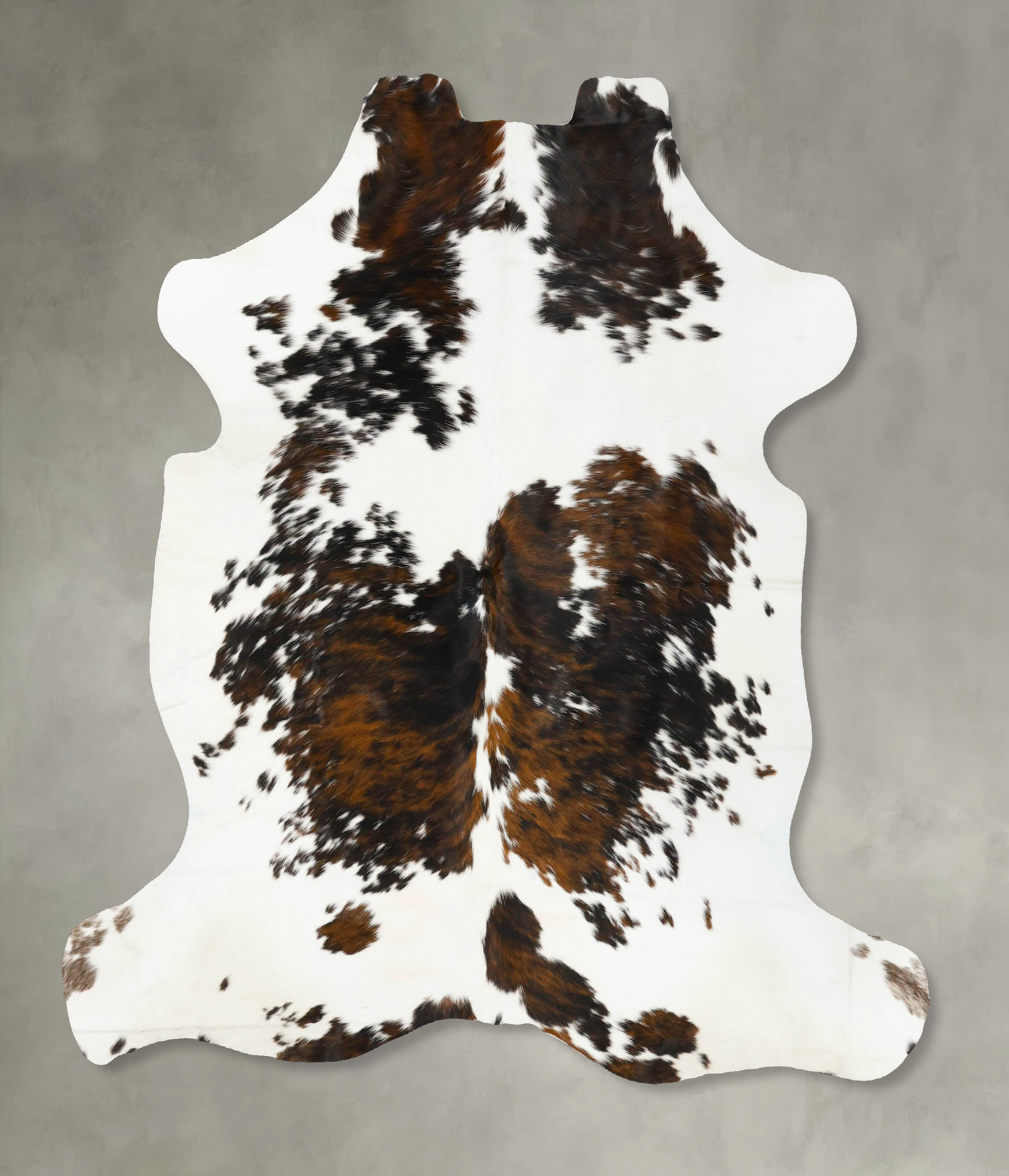 Tricolor Cowhide Rug #B23104