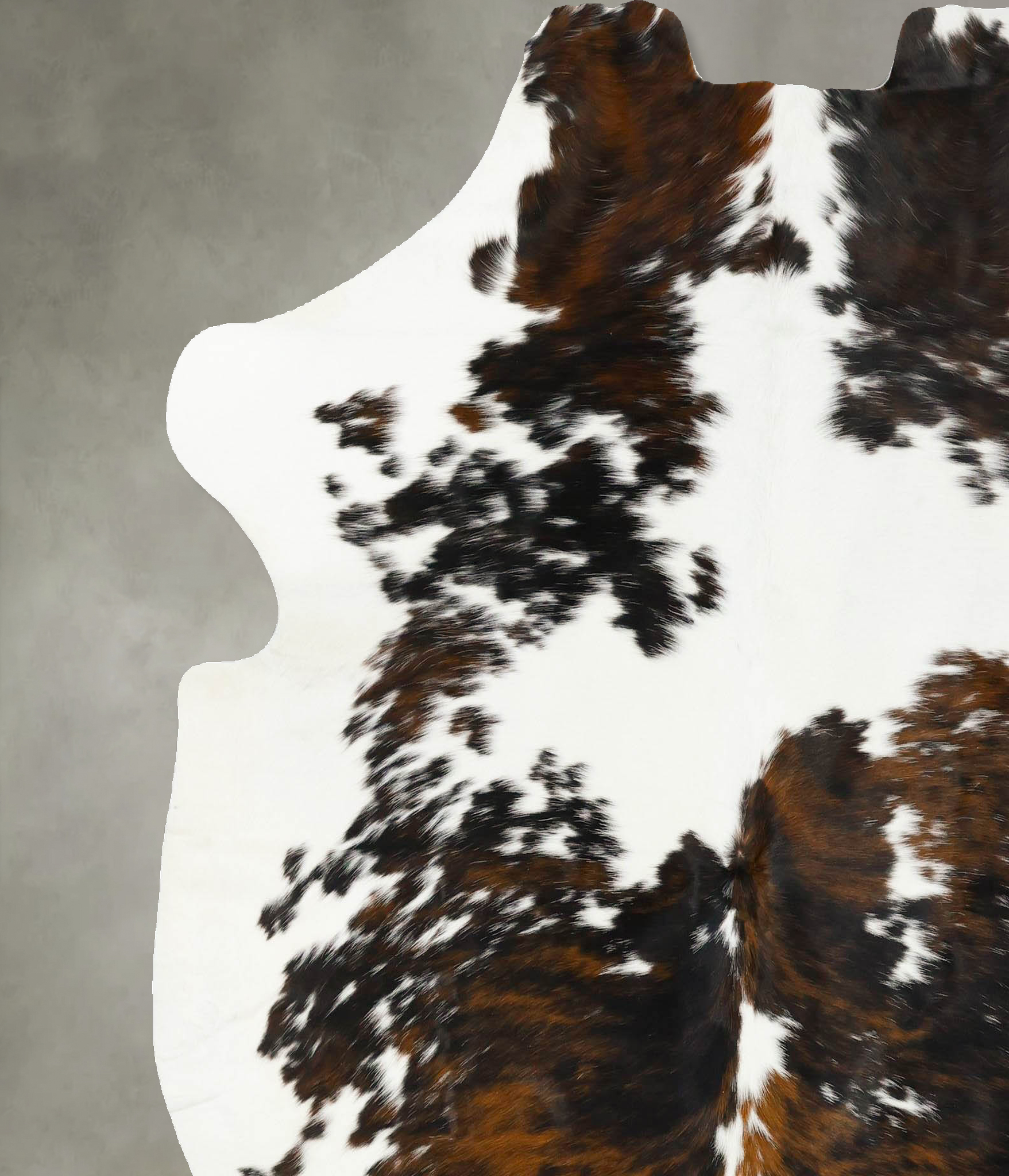 Tricolor Cowhide Rug #B23104