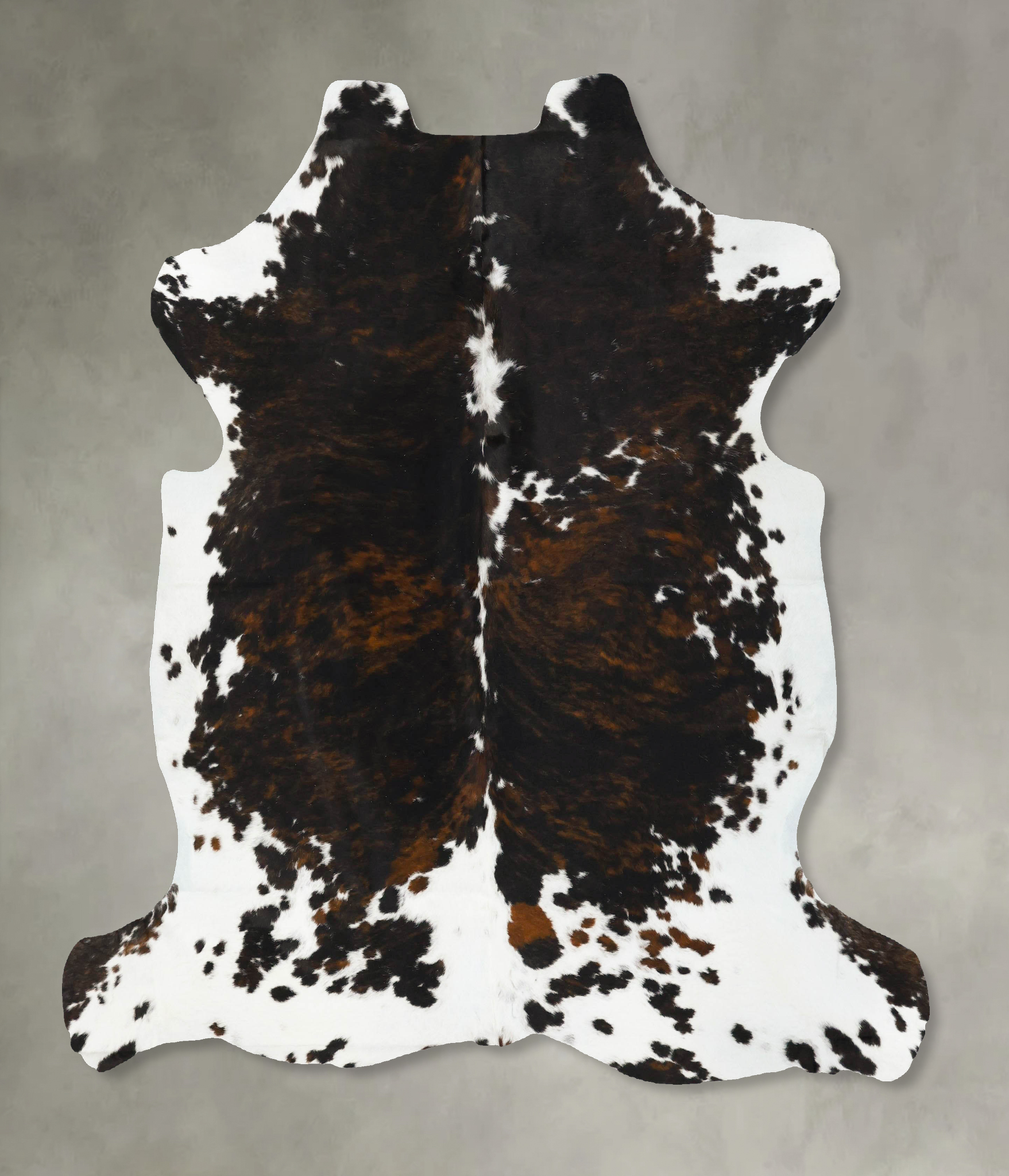 Tricolor Cowhide Rug #B23106