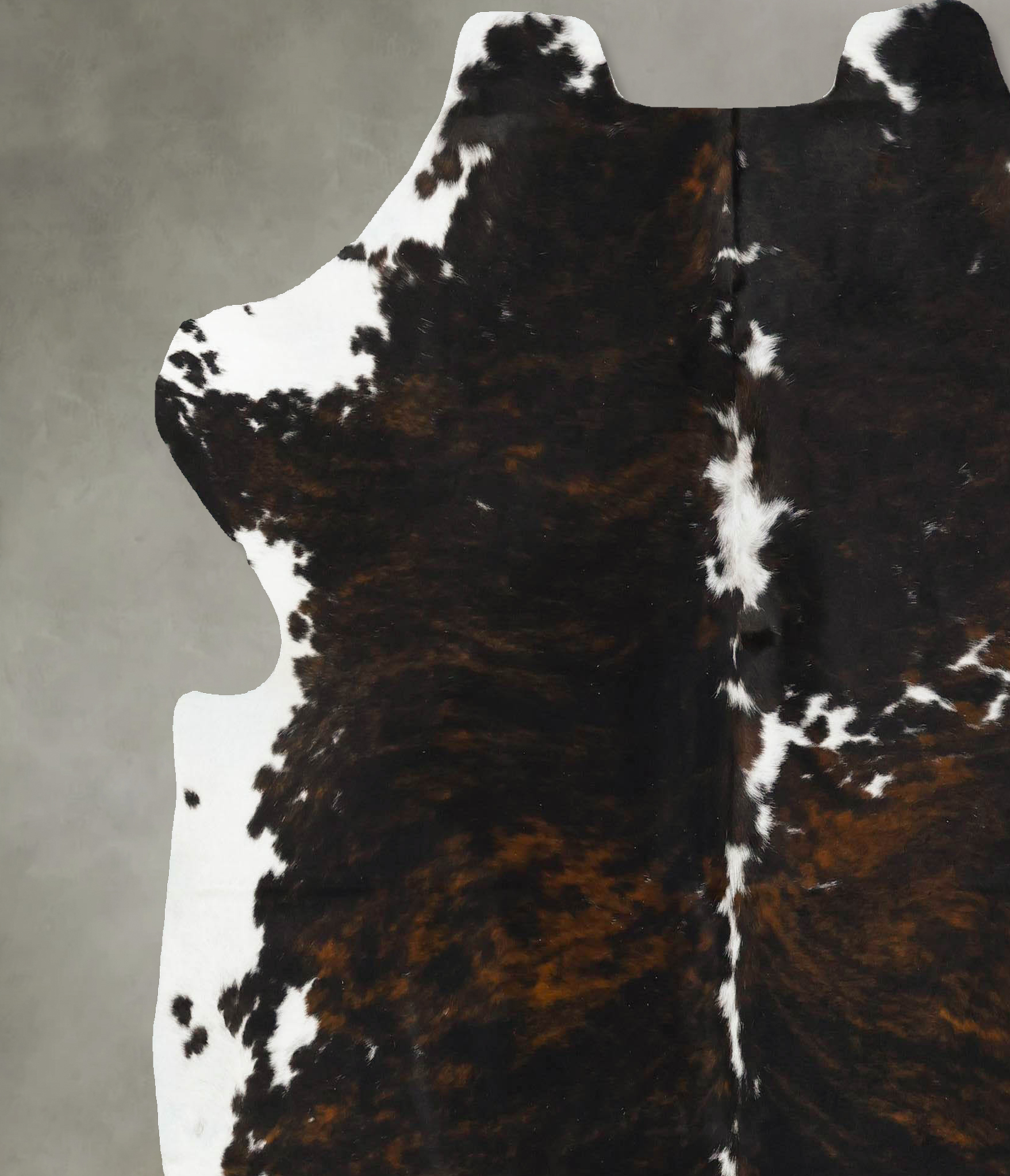Tricolor Cowhide Rug #B23106