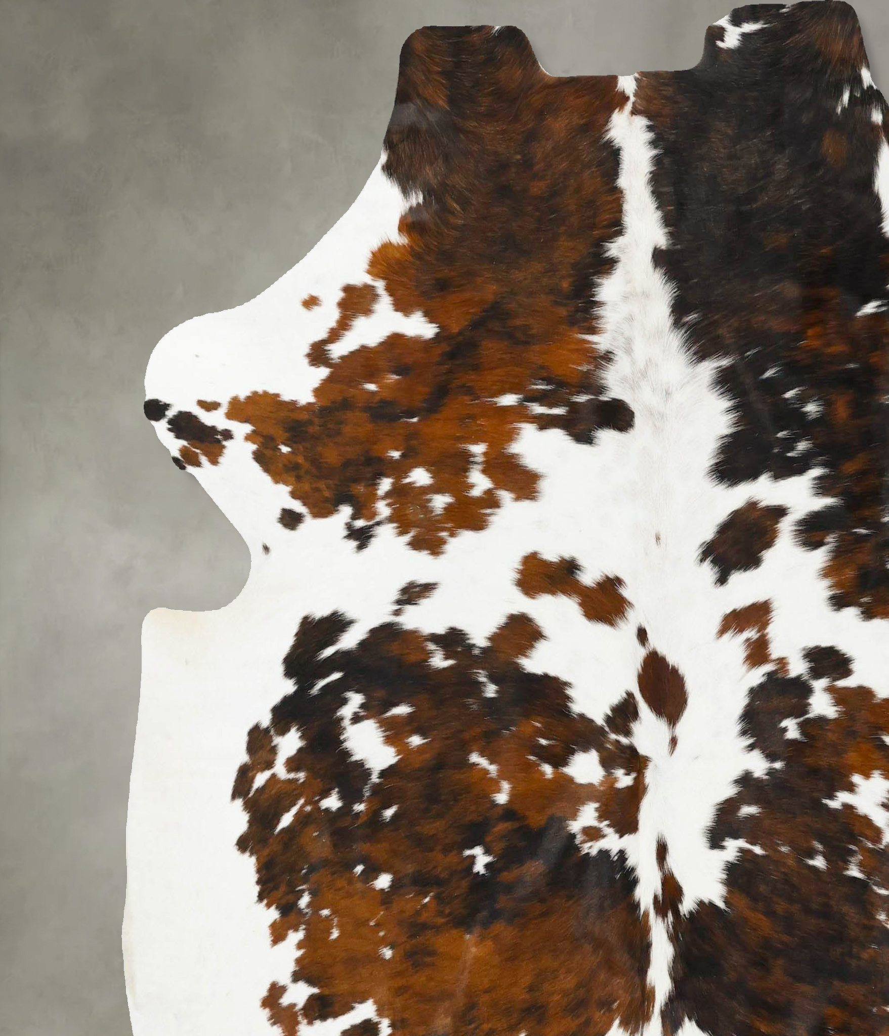 Tricolor Cowhide Rug #B23107