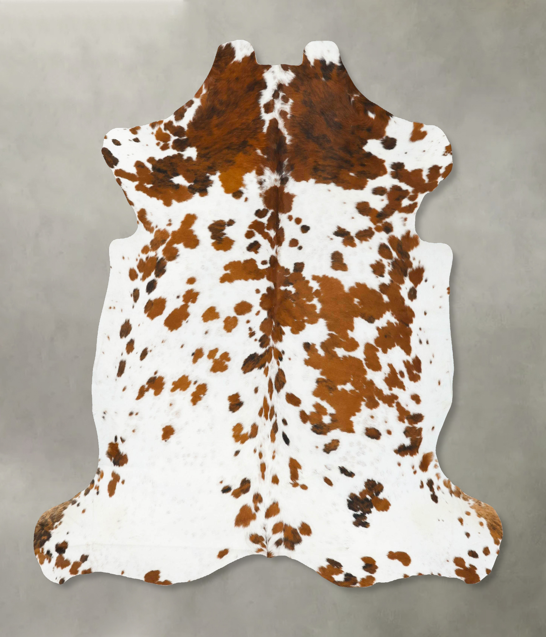 Tricolor Cowhide Rug #B23108