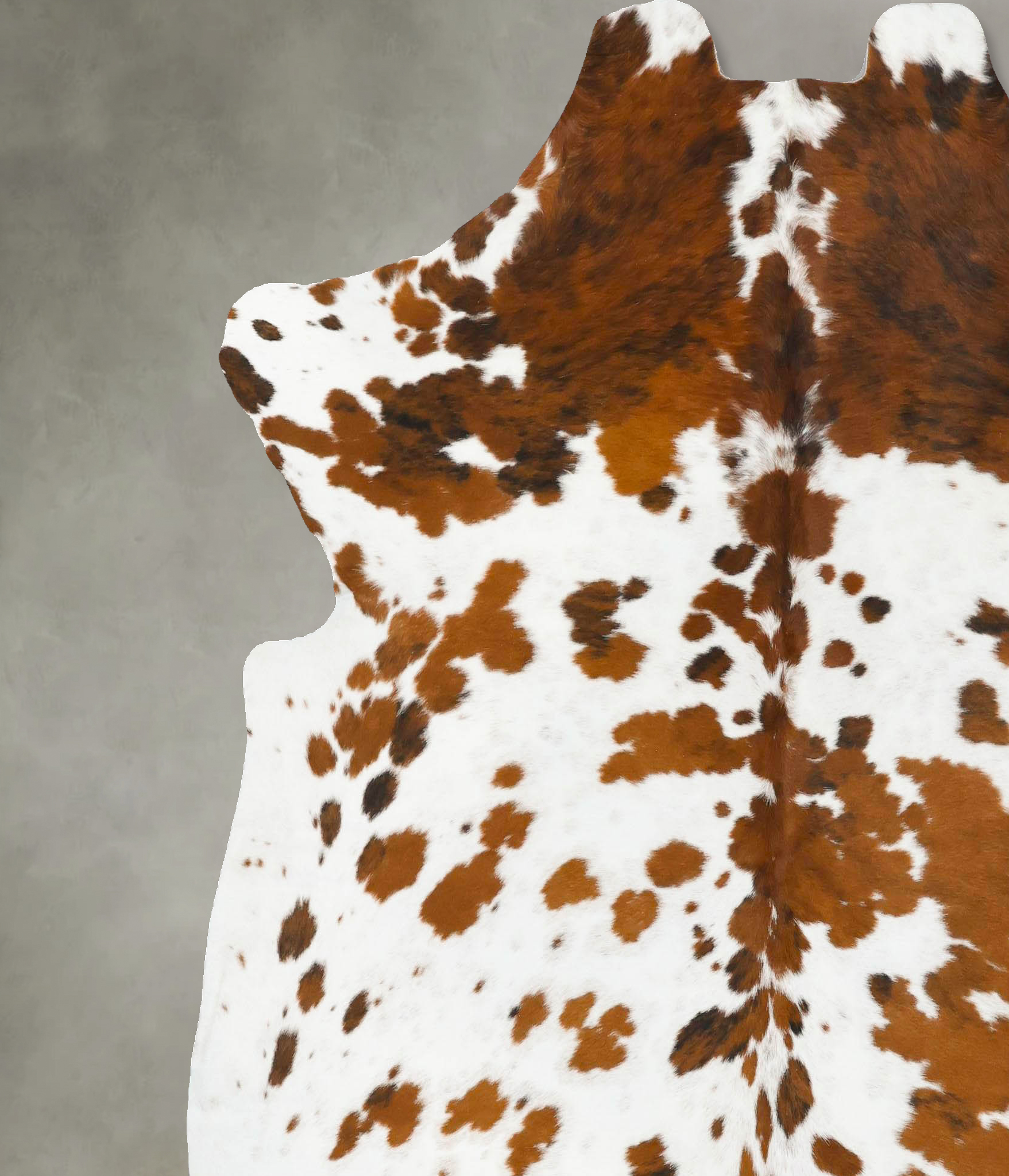 Tricolor Cowhide Rug #B23108