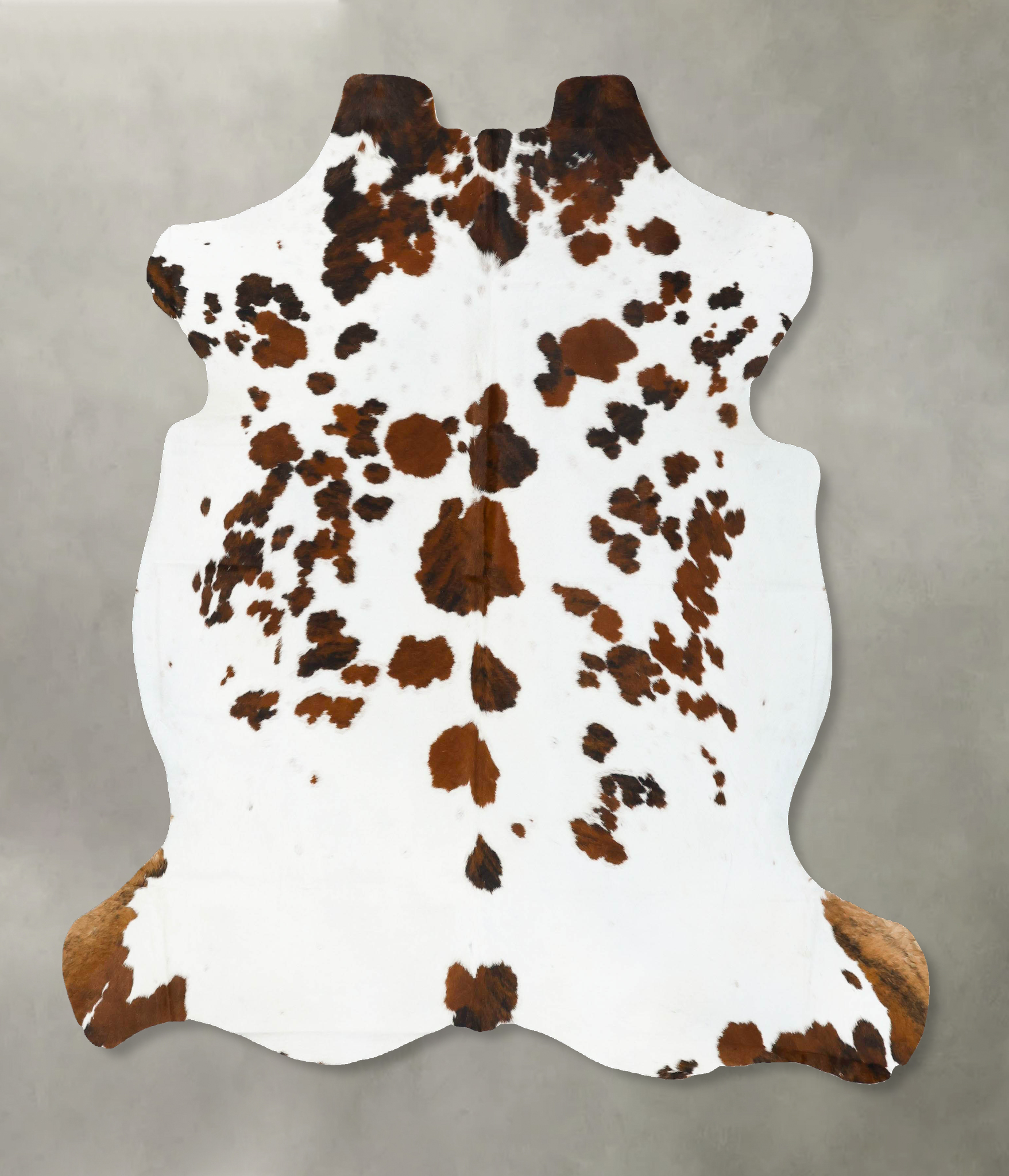 Tricolor Cowhide Rug #B23110