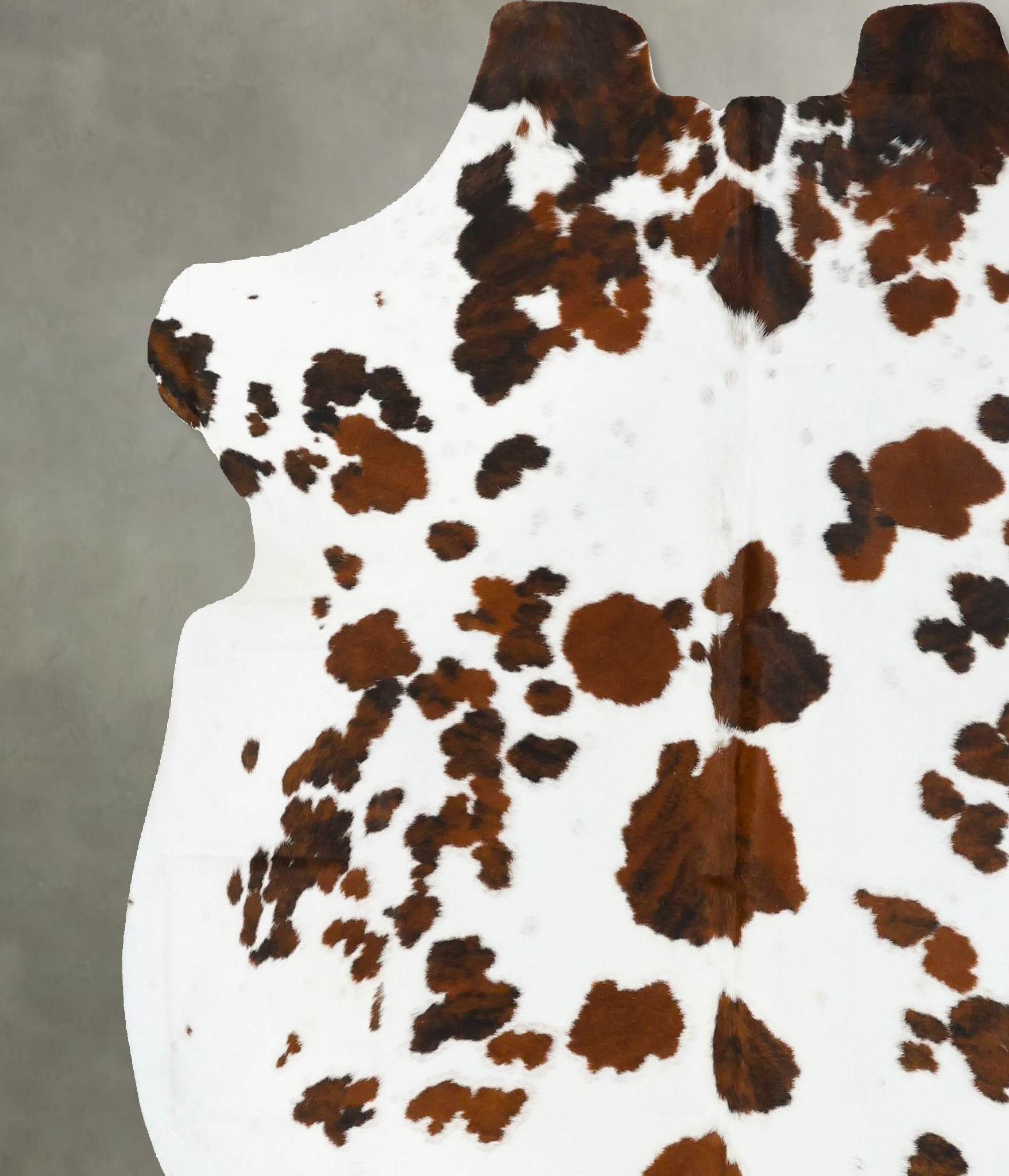 Tricolor Cowhide Rug #B23110