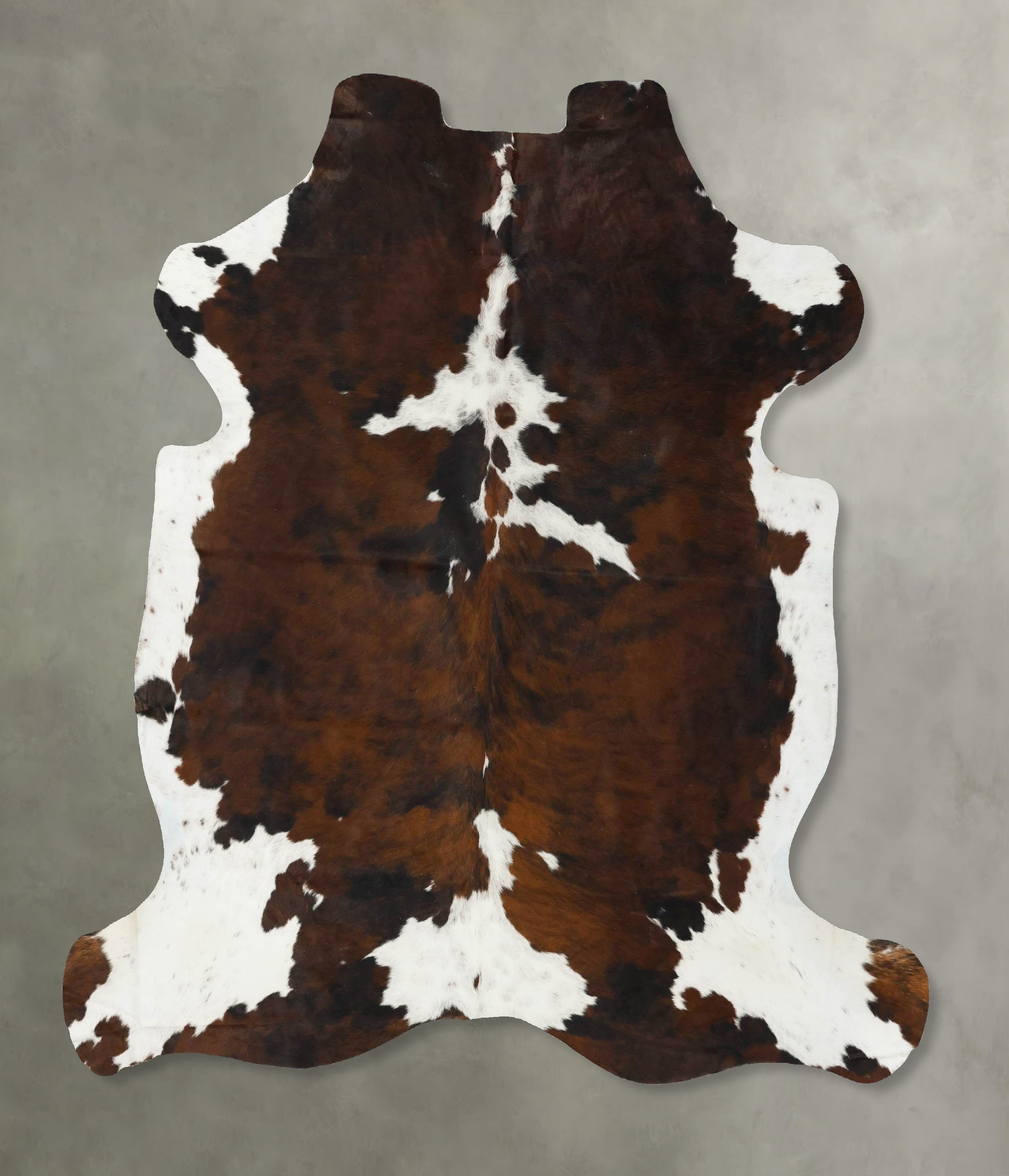 Tricolor Cowhide Rug #B23111