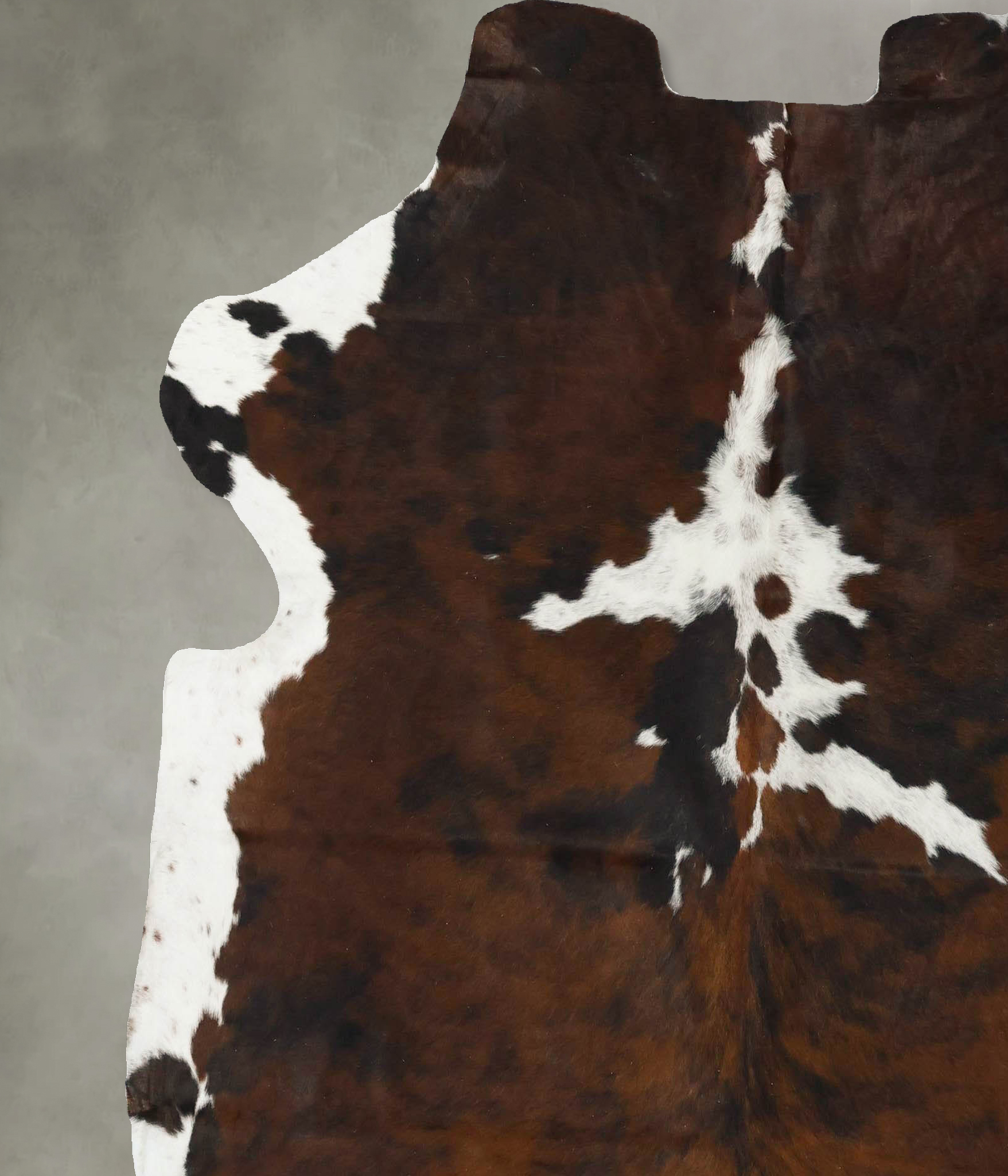 Tricolor Cowhide Rug #B23111