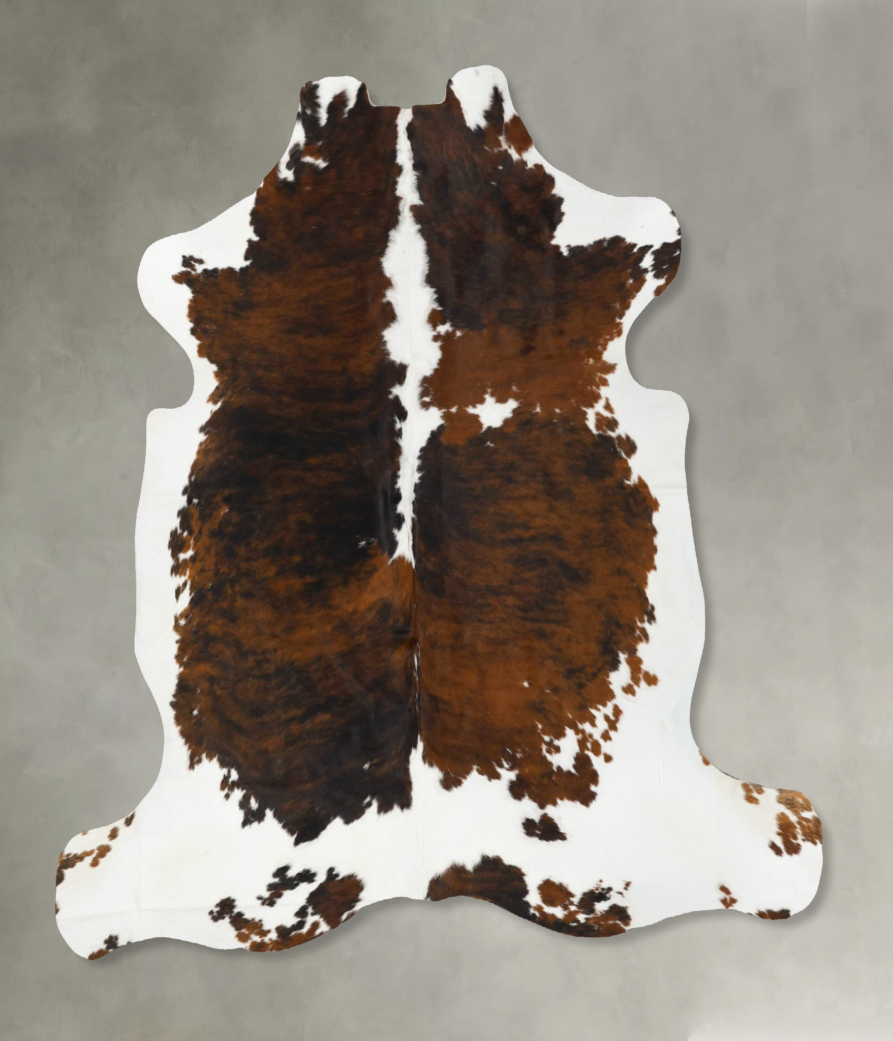 Tricolor Cowhide Rug #B23112